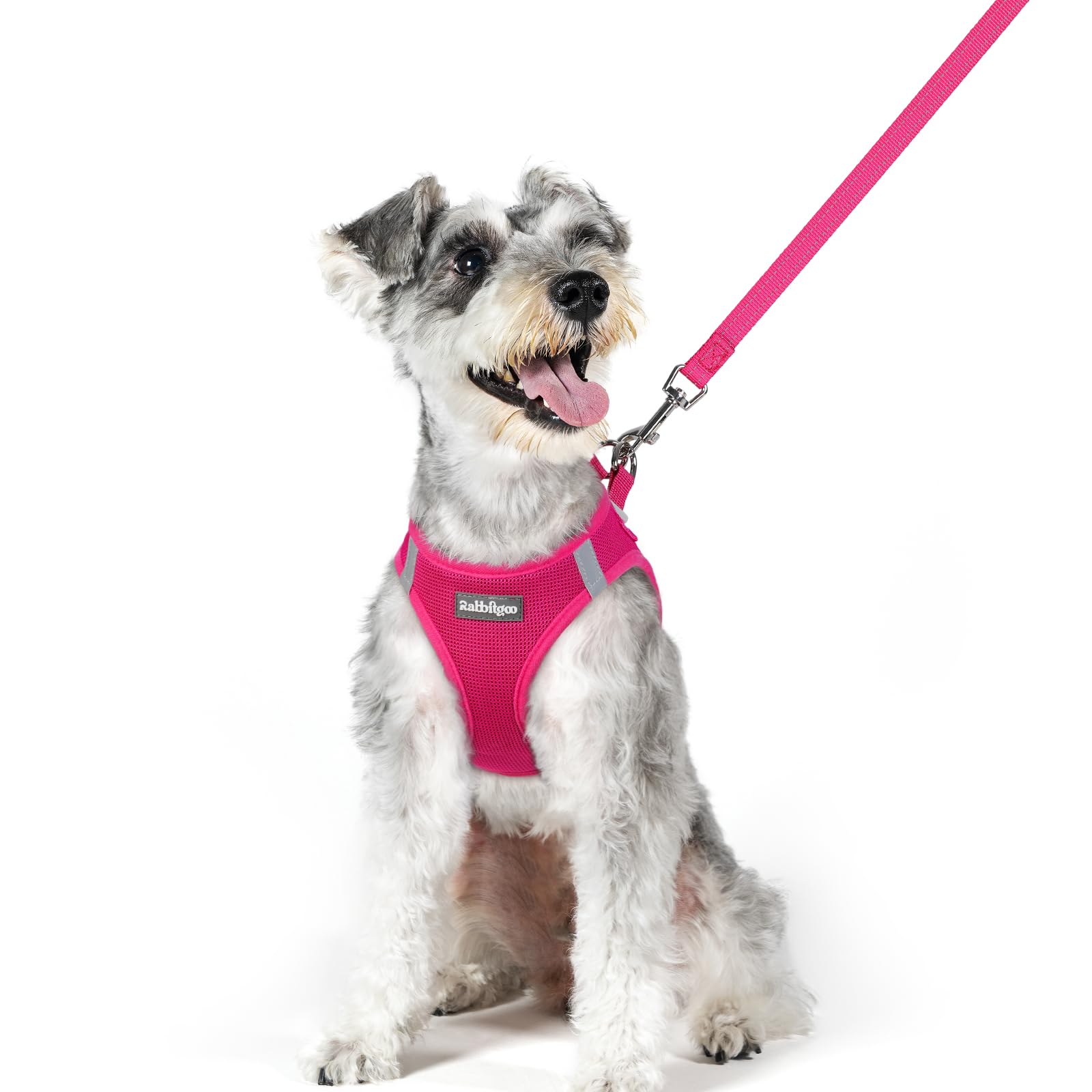 Soft Mesh Dog Harness and Leash Set Reflective Lightweight