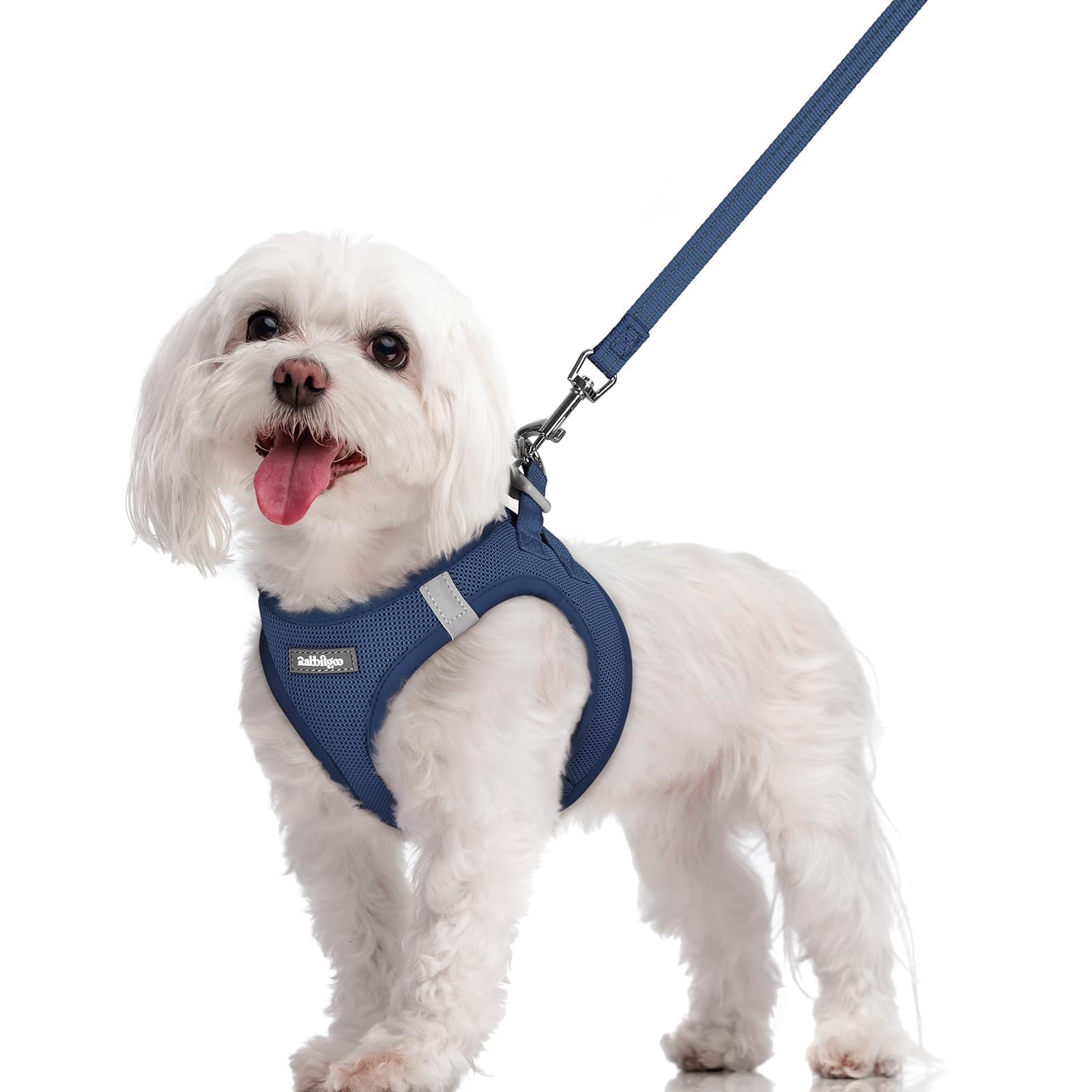 Soft Mesh Dog Harness and Leash Set Reflective Lightweight