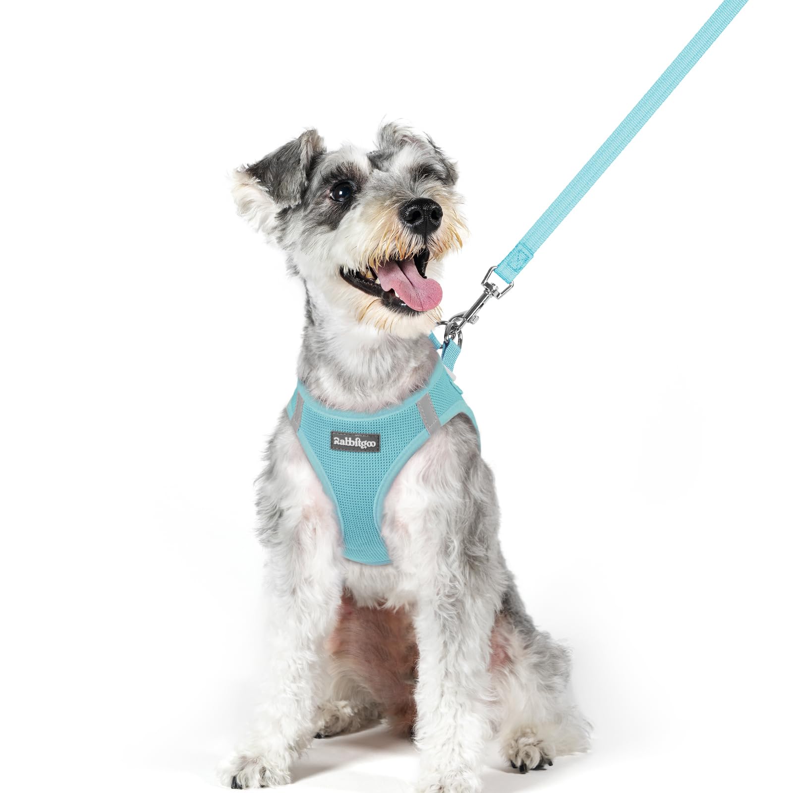 Soft Mesh Dog Harness and Leash Set Reflective Lightweight