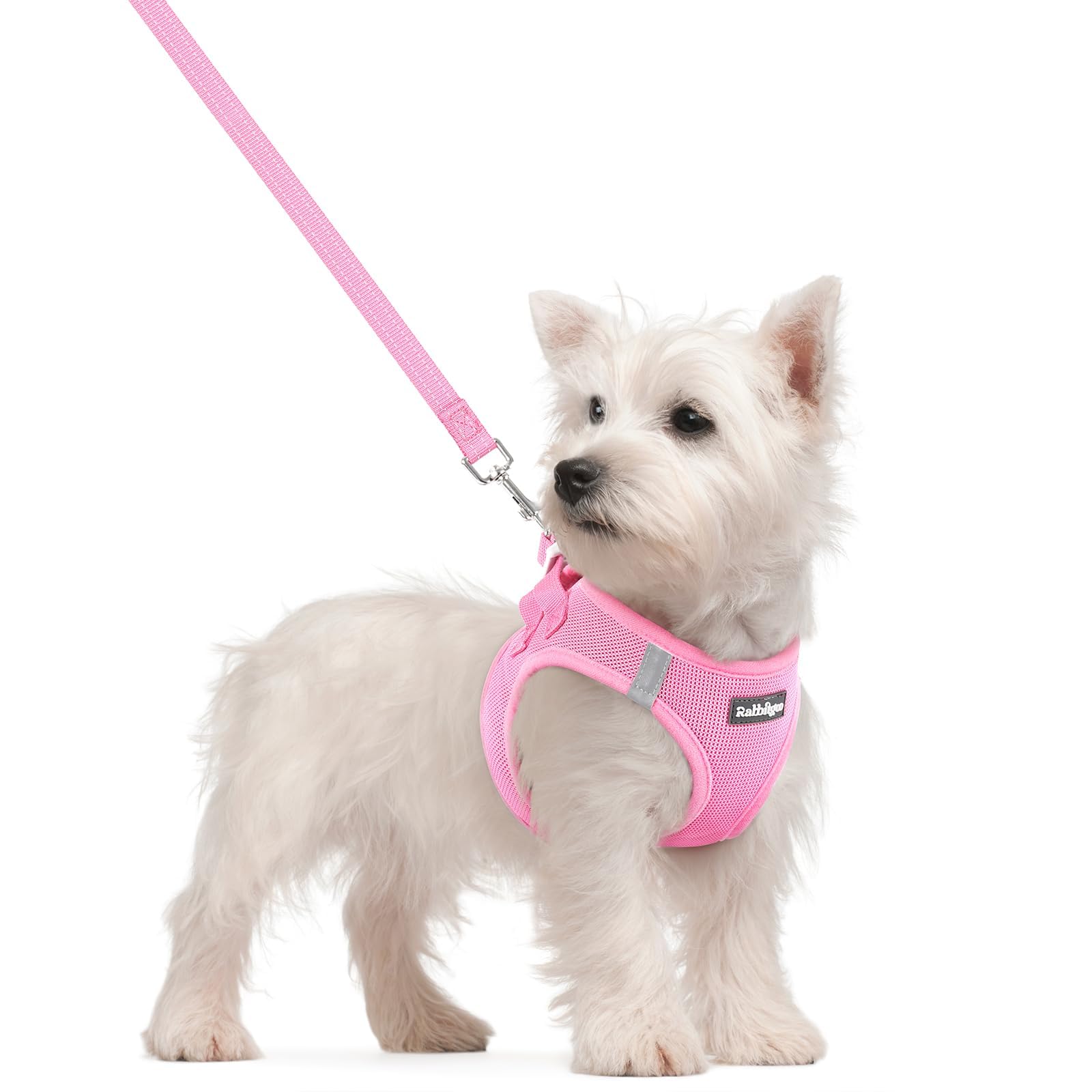 Soft Mesh Dog Harness and Leash Set Reflective Lightweight