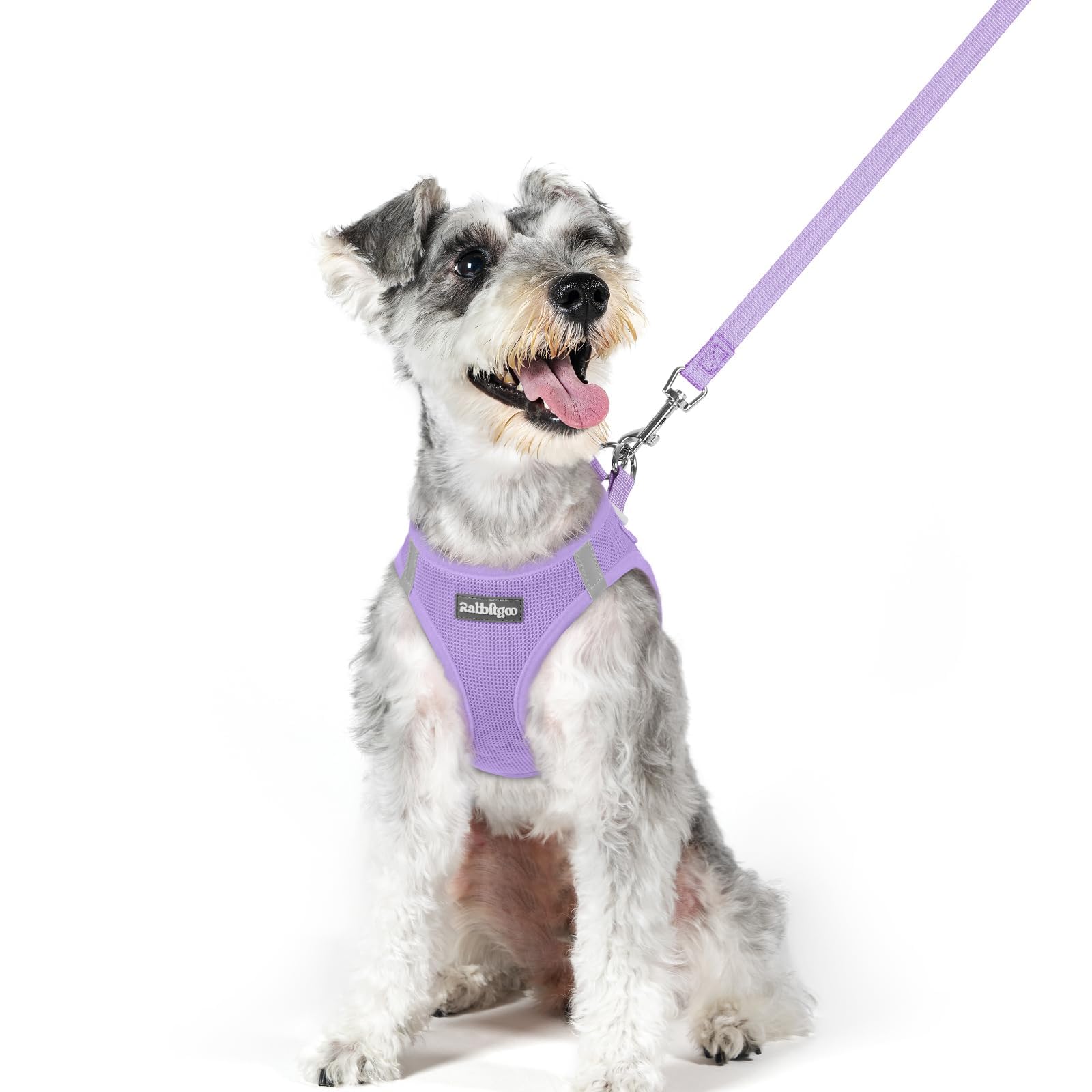 Soft Mesh Dog Harness and Leash Set Reflective Lightweight
