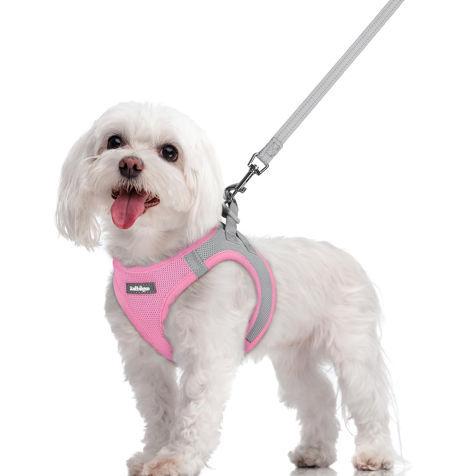 Soft Mesh Dog Harness and Leash Set Reflective Lightweight