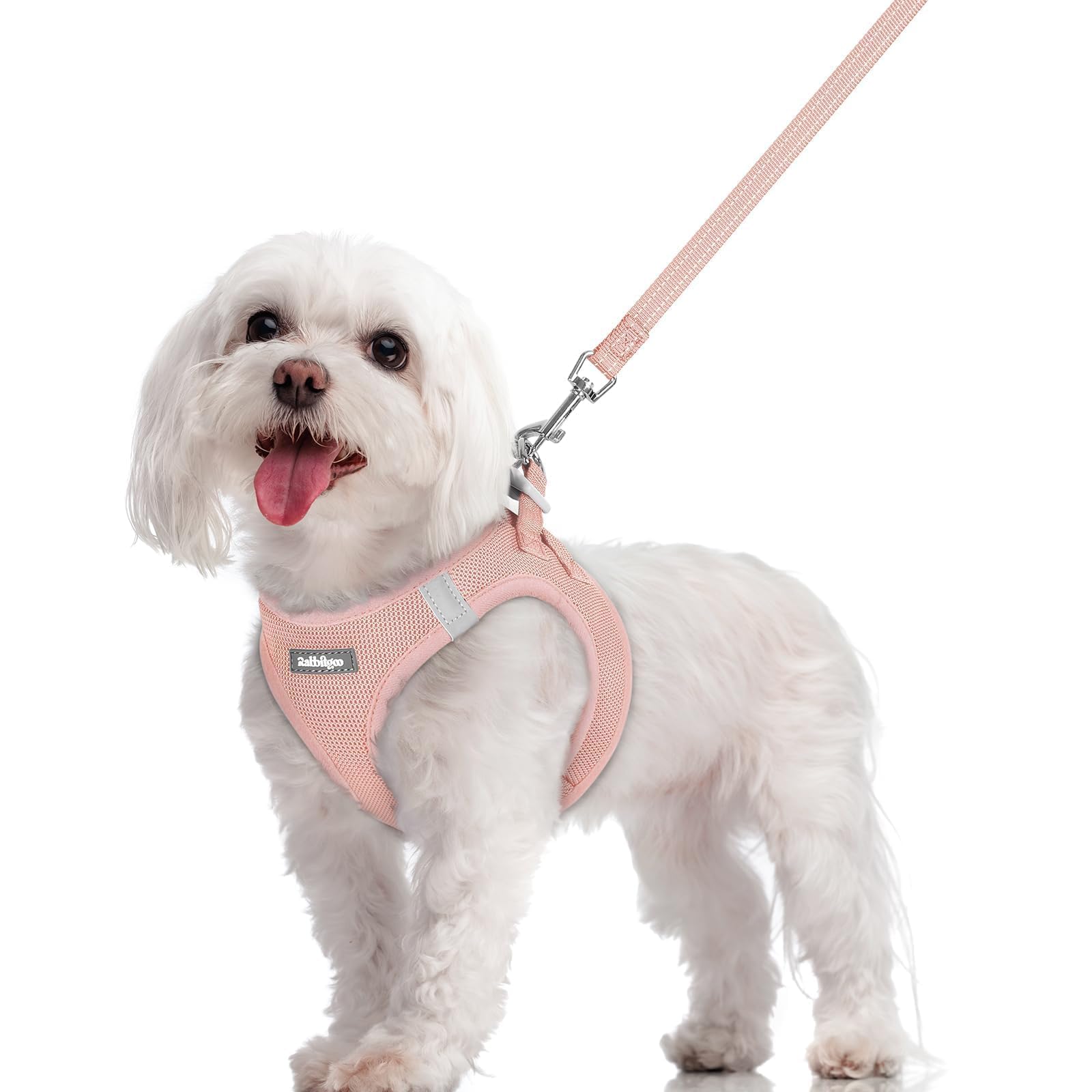 Soft Mesh Dog Harness and Leash Set Reflective Lightweight