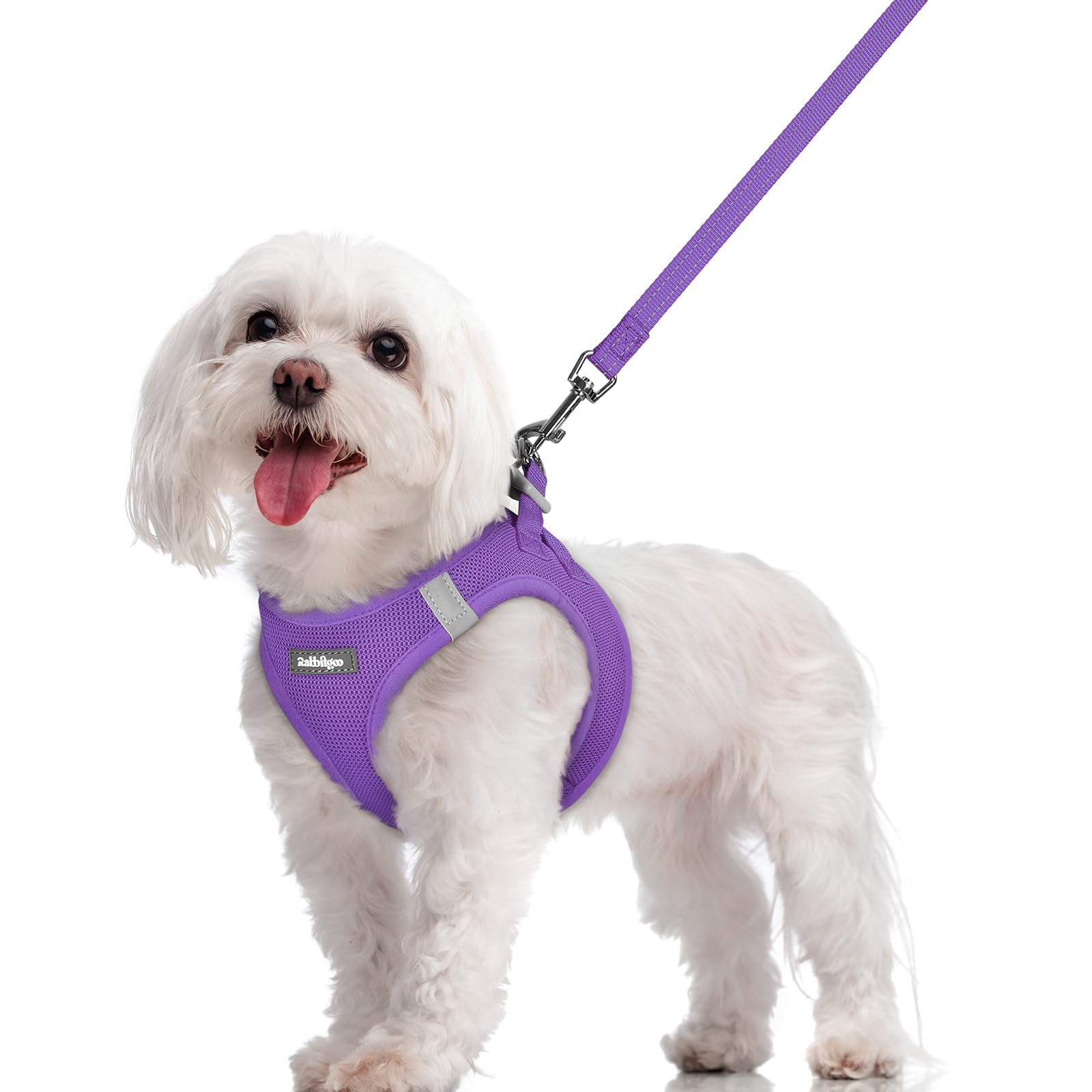 Soft Mesh Dog Harness and Leash Set Reflective Lightweight