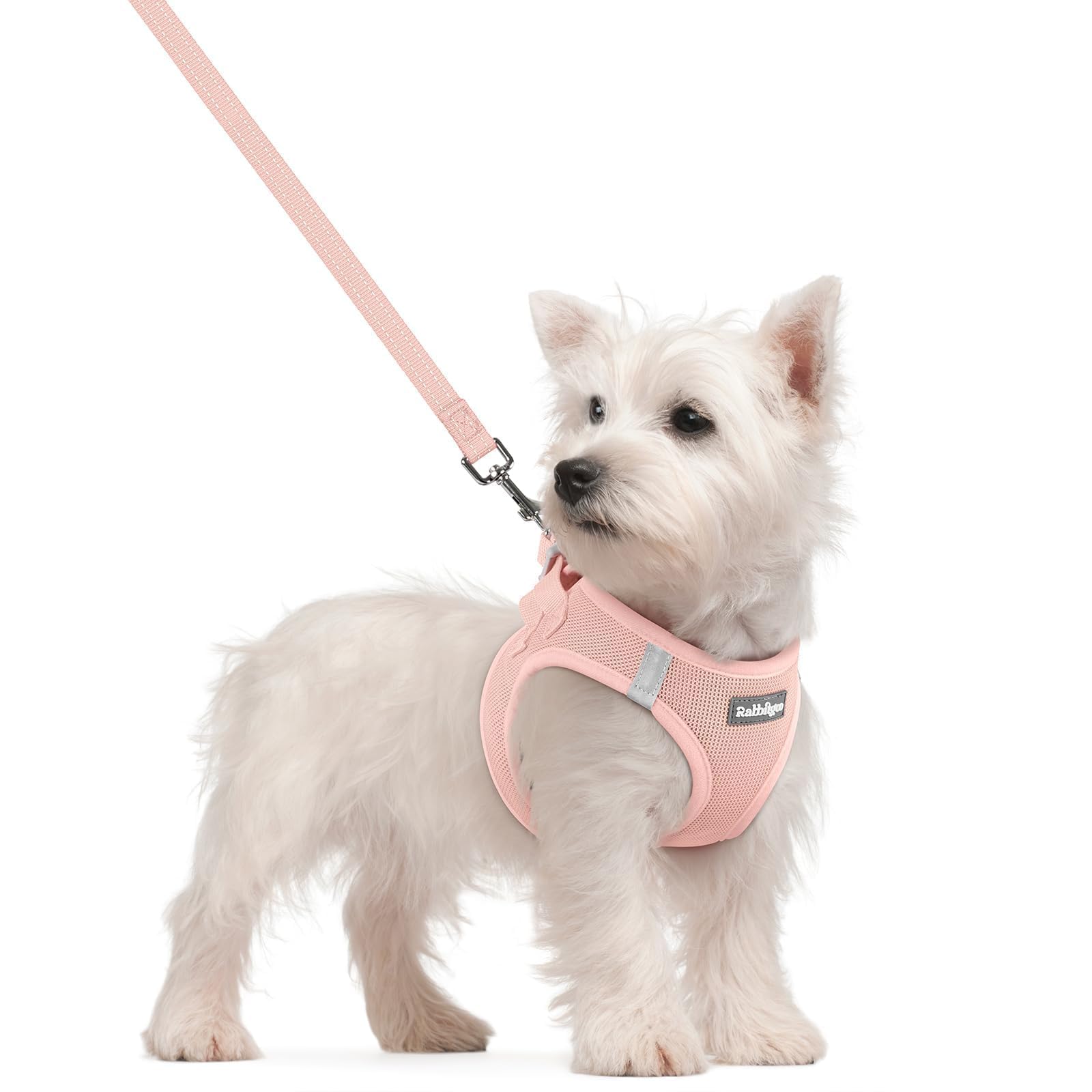Soft Mesh Dog Harness and Leash Set Reflective Lightweight