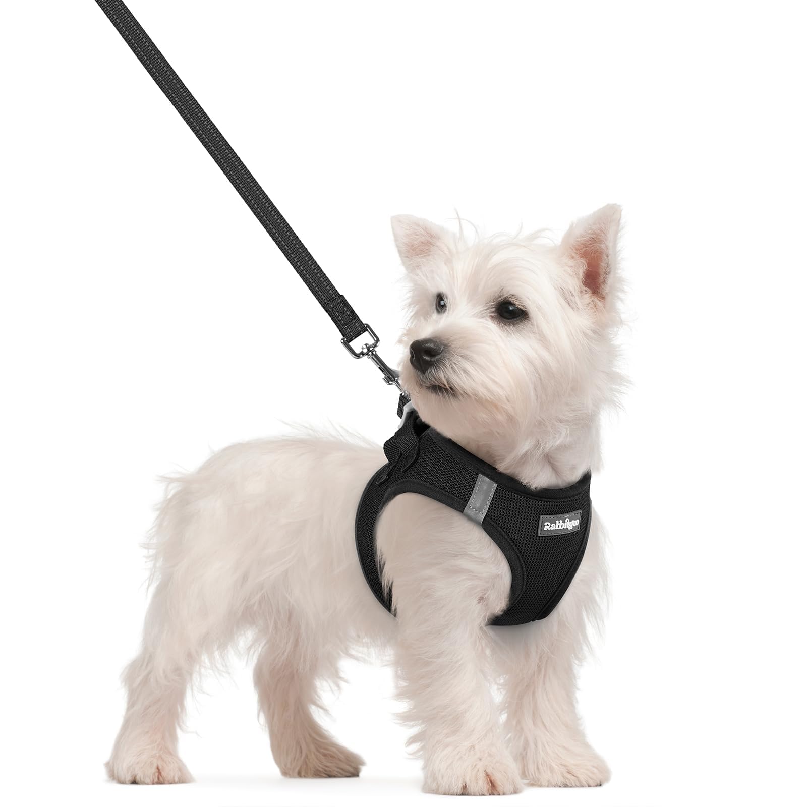 Soft Mesh Dog Harness and Leash Set Reflective Lightweight