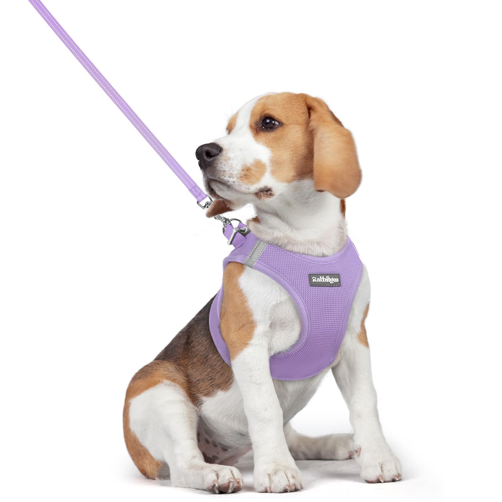 Soft Mesh Dog Harness and Leash Set Reflective Lightweight