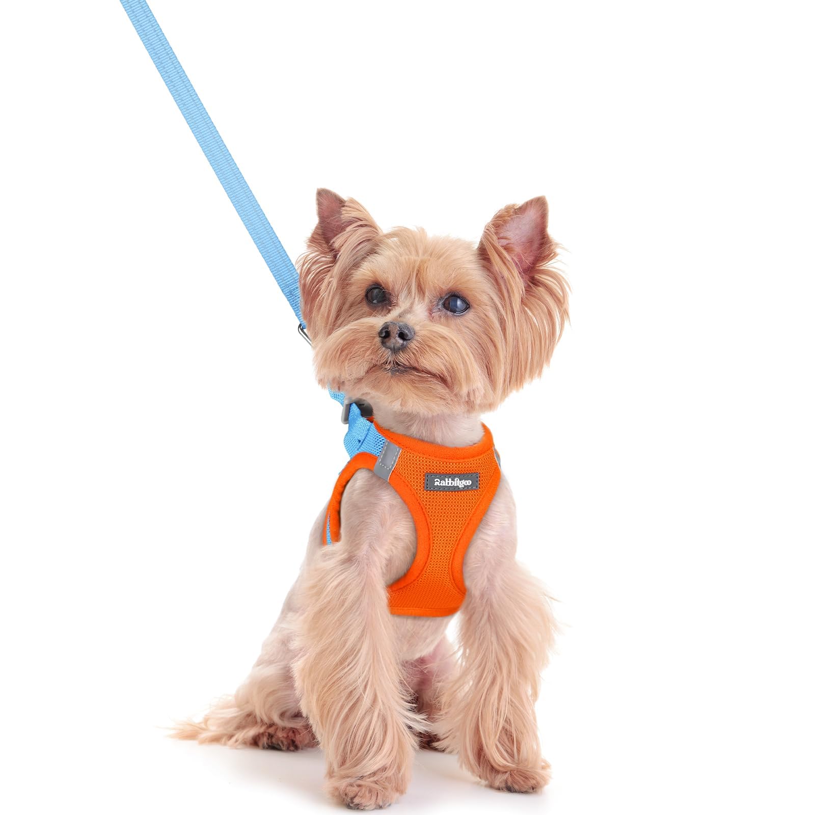 Soft Mesh Dog Harness and Leash Set Reflective Lightweight