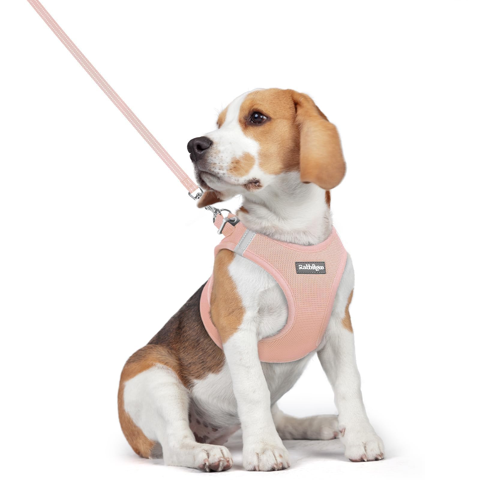 Soft Mesh Dog Harness and Leash Set Reflective Lightweight