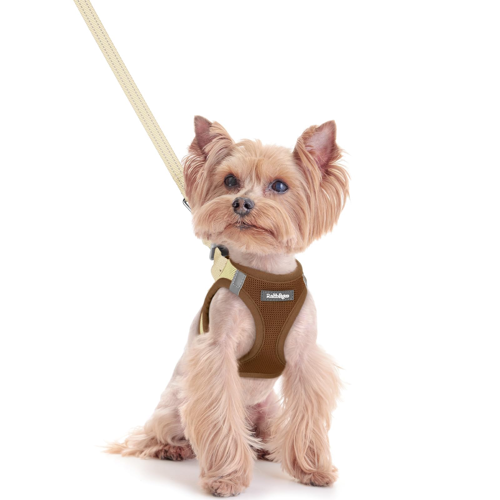 Soft Mesh Dog Harness and Leash Set Reflective Lightweight