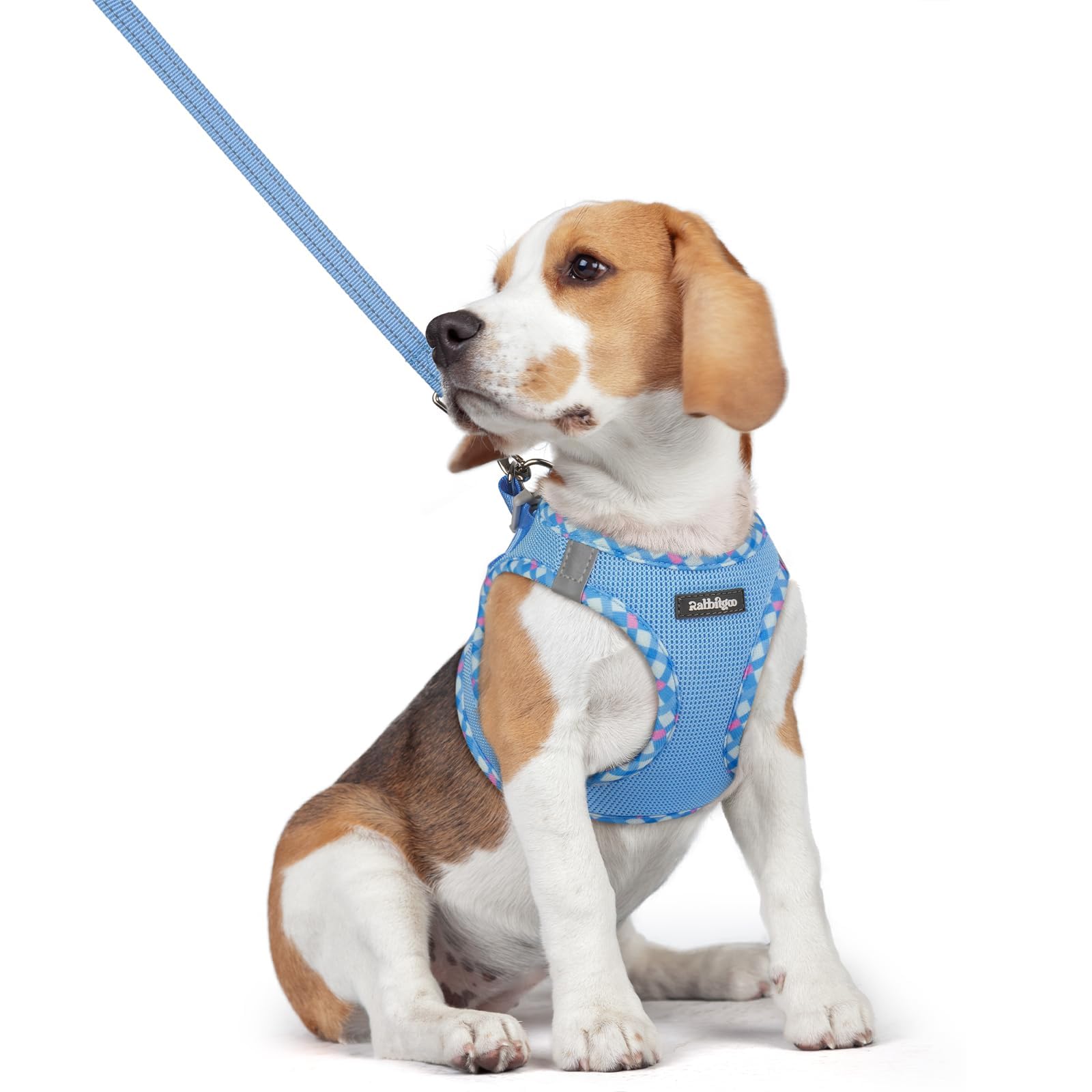 Soft Mesh Dog Harness and Leash Set Reflective Lightweight