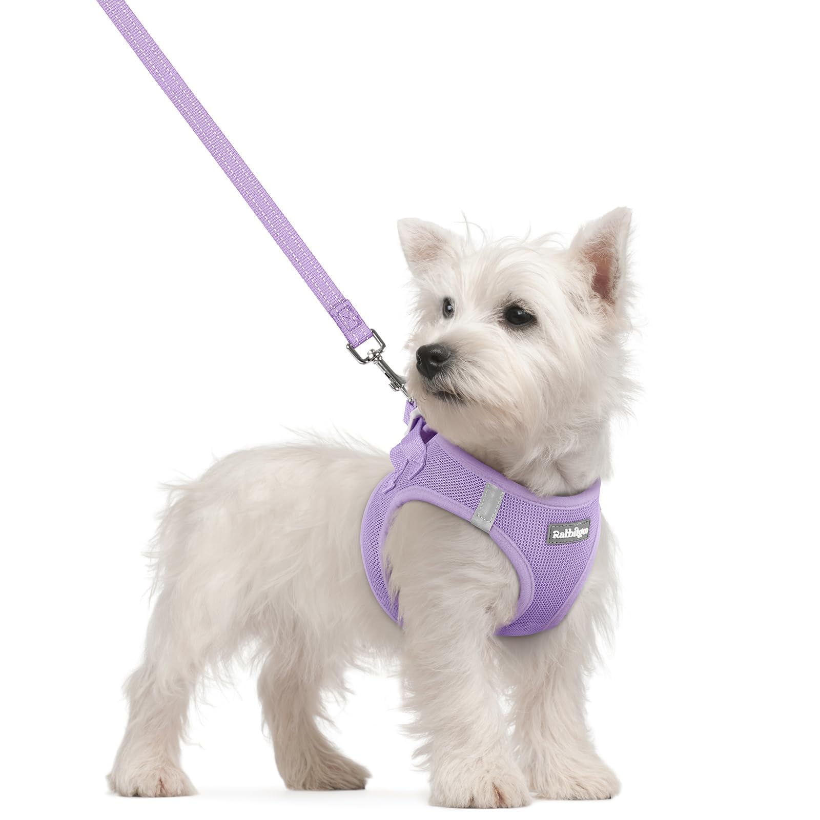 Soft Mesh Dog Harness and Leash Set Reflective Lightweight