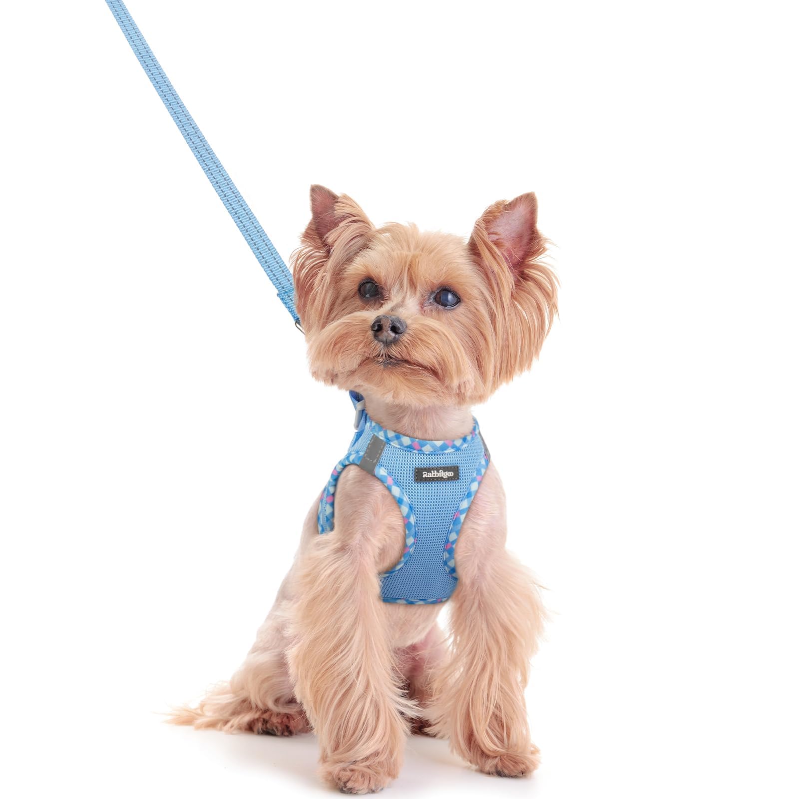 Soft Mesh Dog Harness and Leash Set Reflective Lightweight