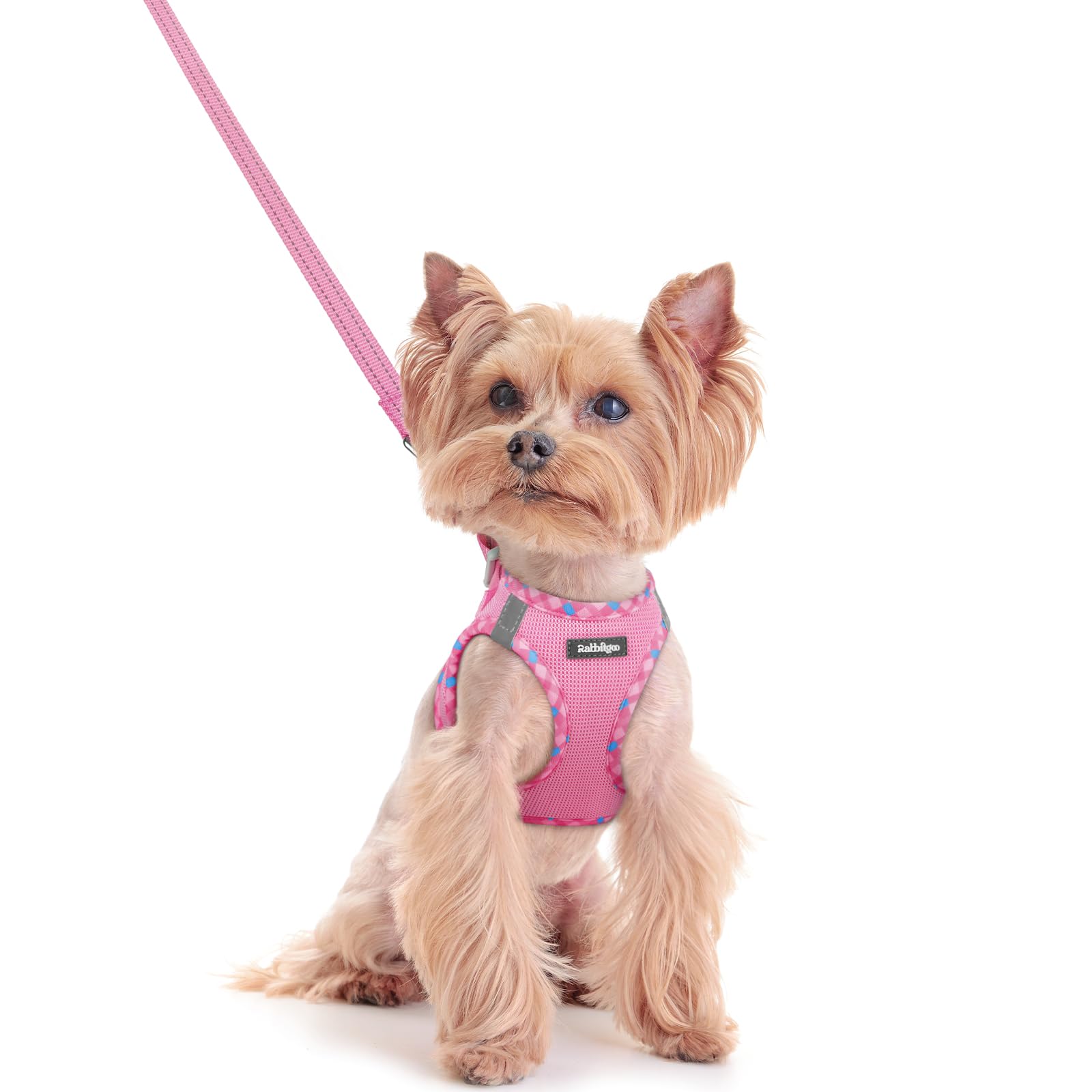 Soft Mesh Dog Harness and Leash Set Reflective Lightweight