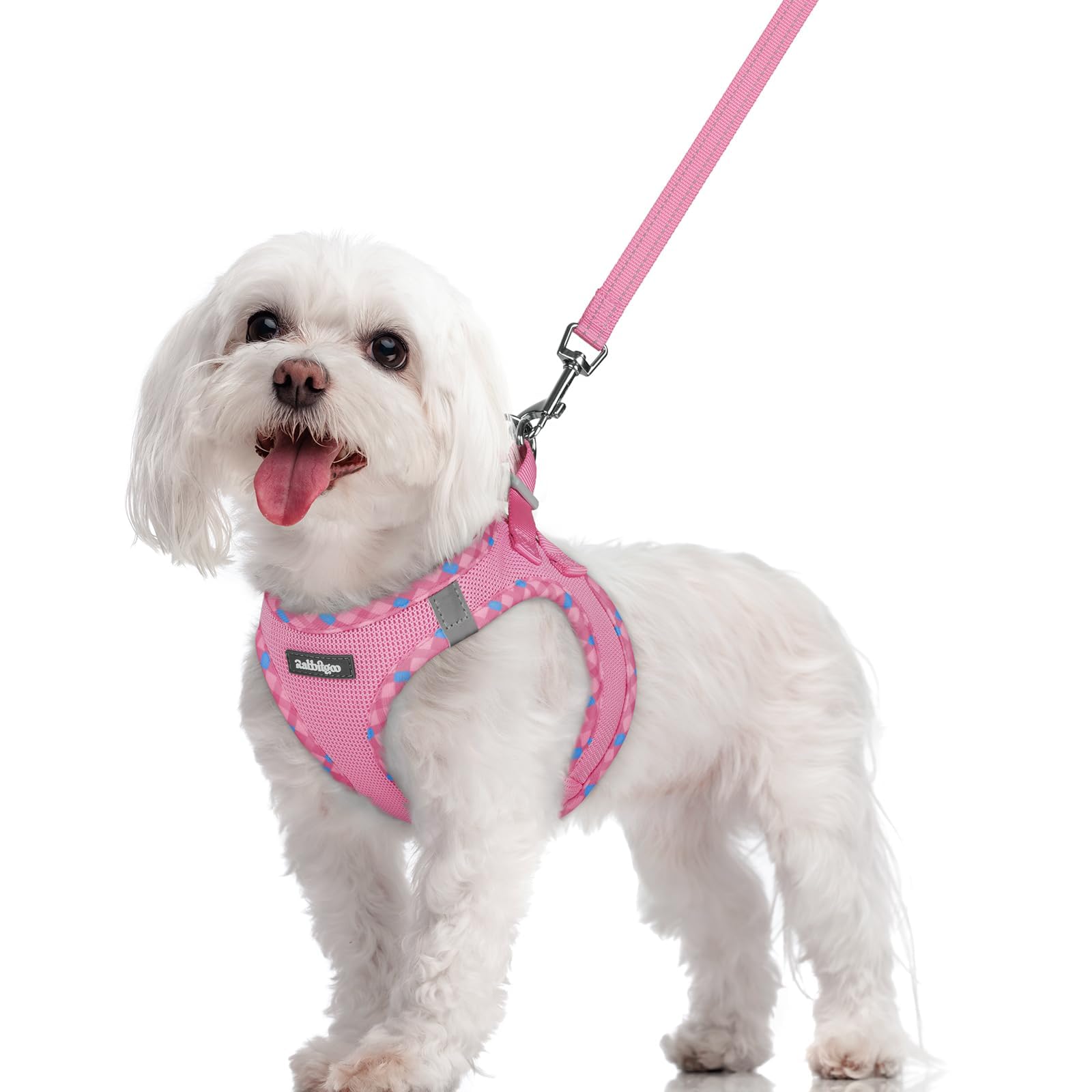 Soft Mesh Dog Harness and Leash Set Reflective Lightweight