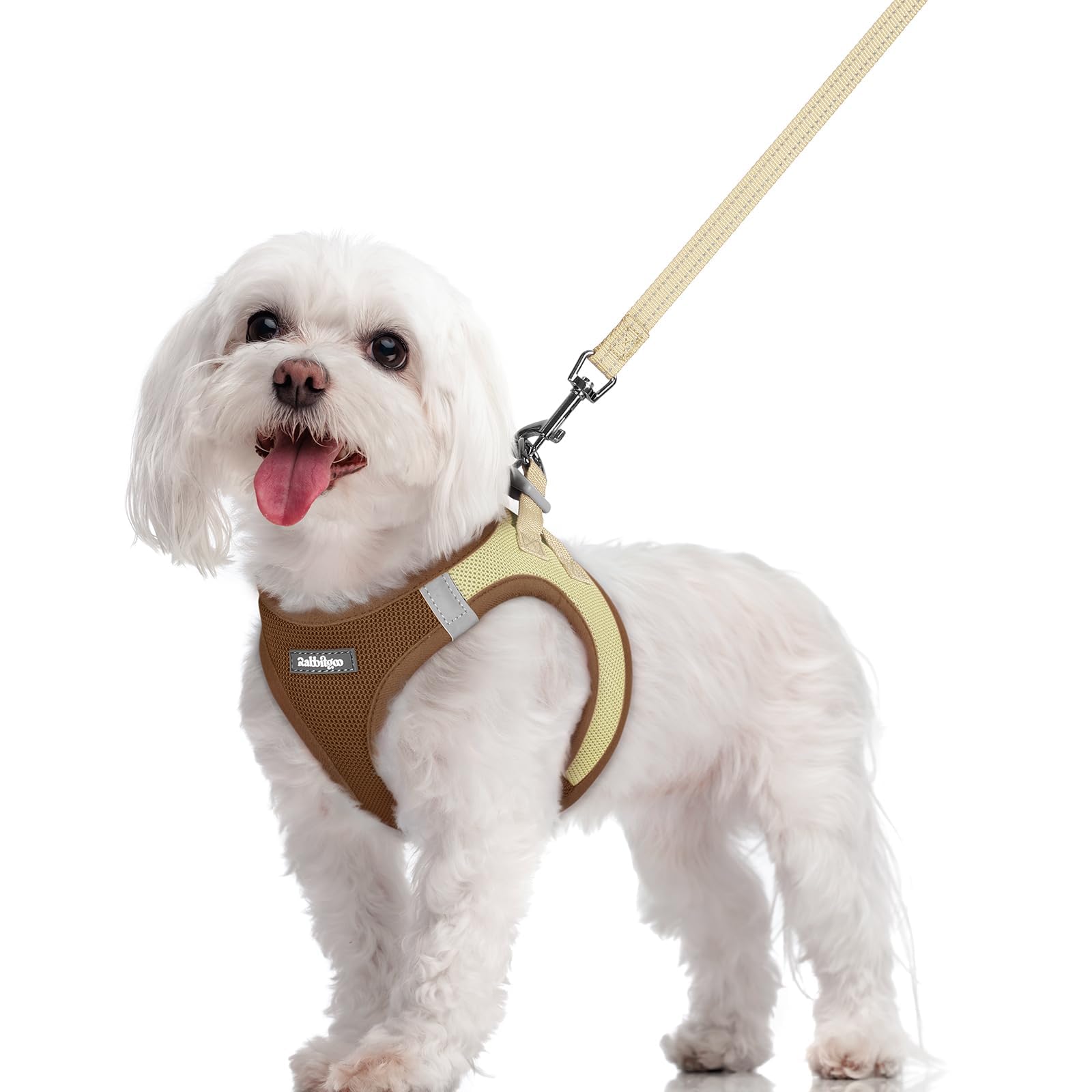 Soft Mesh Dog Harness and Leash Set Reflective Lightweight