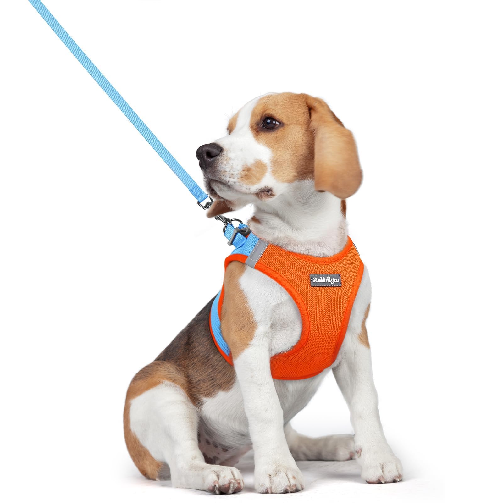 Soft Mesh Dog Harness and Leash Set Reflective Lightweight
