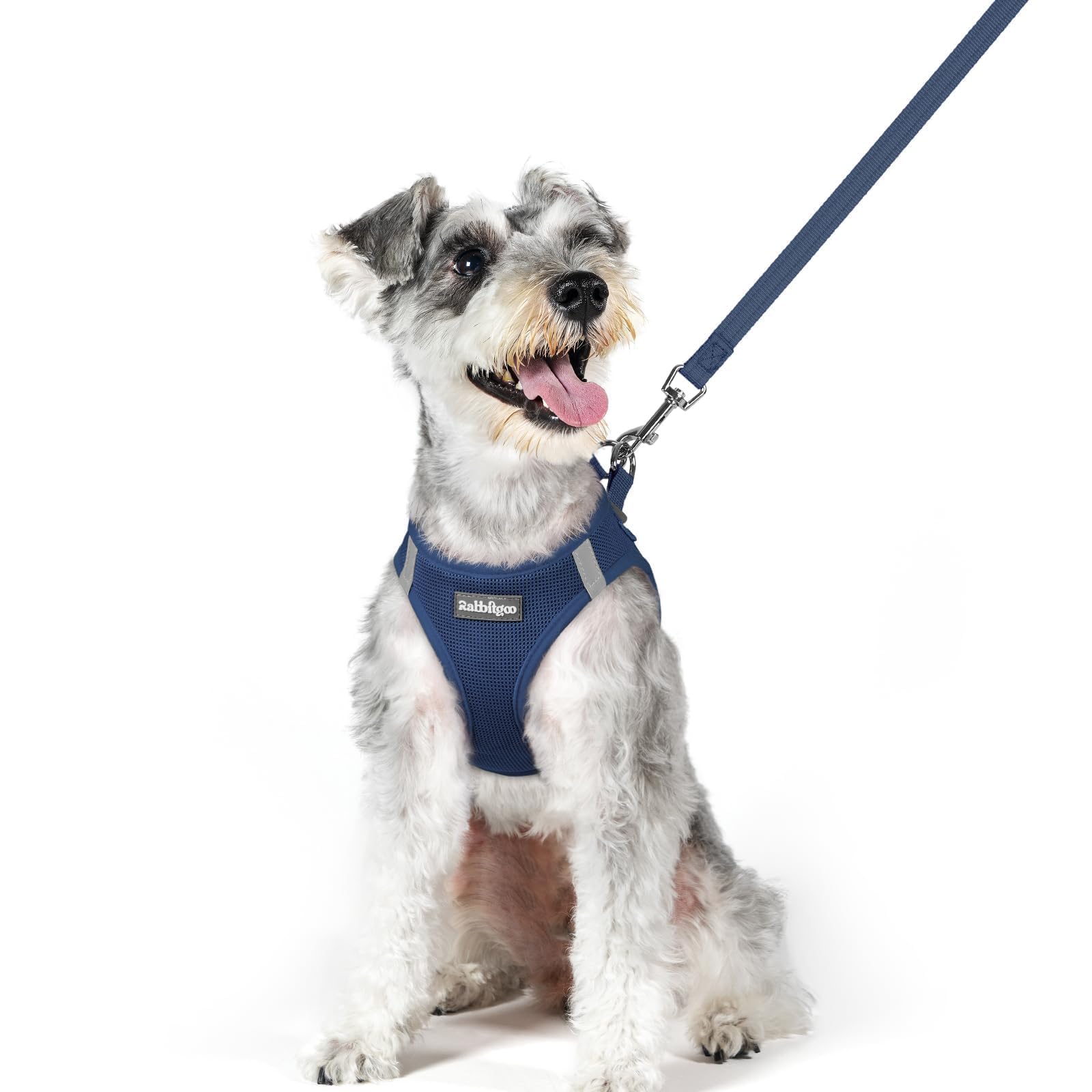 Soft Mesh Dog Harness and Leash Set Reflective Lightweight