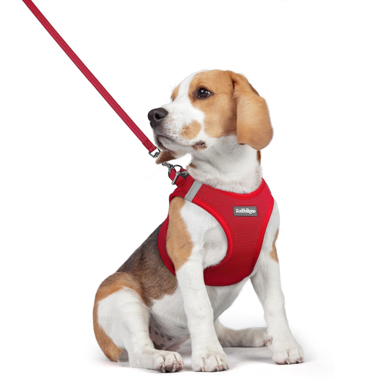 Soft Mesh Dog Harness and Leash Set Reflective Lightweight