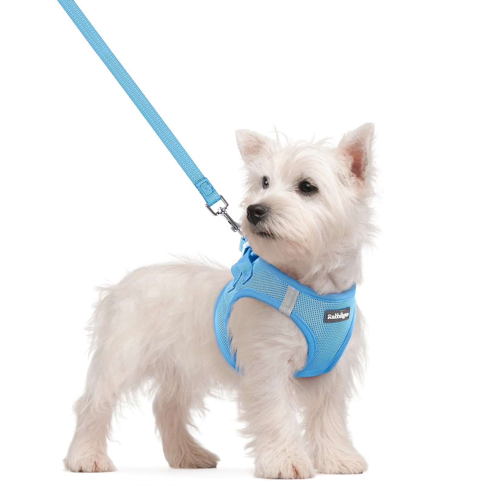 Soft Mesh Dog Harness and Leash Set Reflective Lightweight