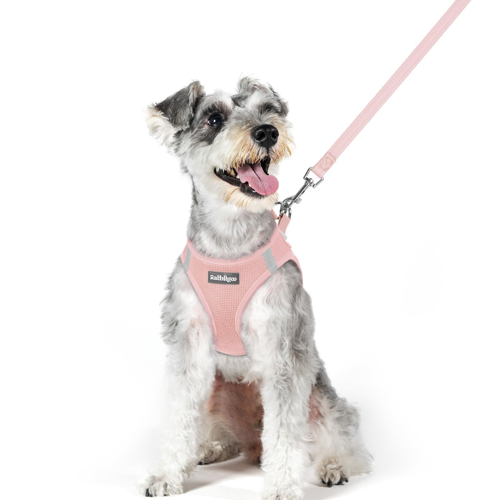 Soft Mesh Dog Harness and Leash Set Reflective Lightweight