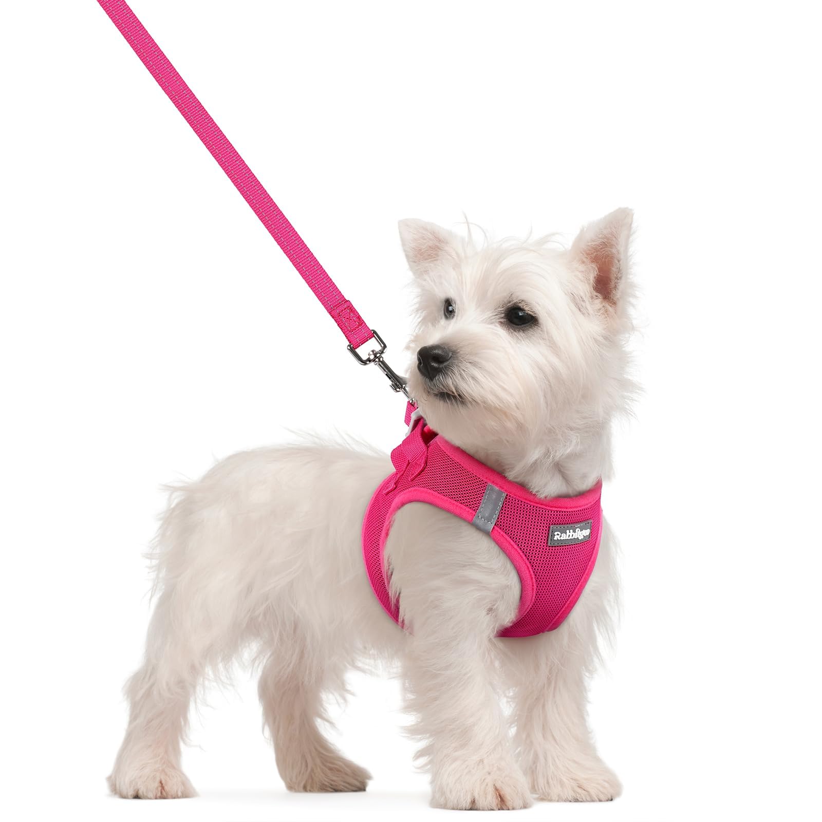 Soft Mesh Dog Harness and Leash Set Reflective Lightweight