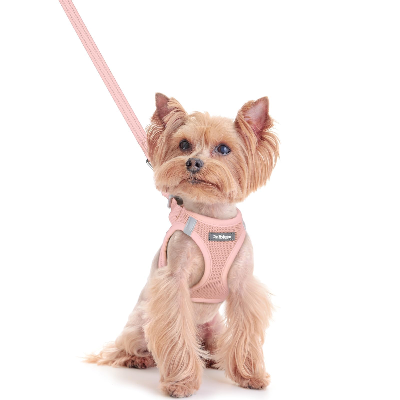 Soft Mesh Dog Harness and Leash Set Reflective Lightweight