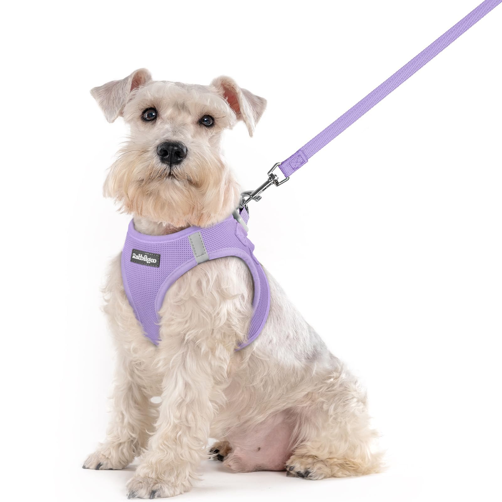Soft Mesh Dog Harness and Leash Set Reflective Lightweight