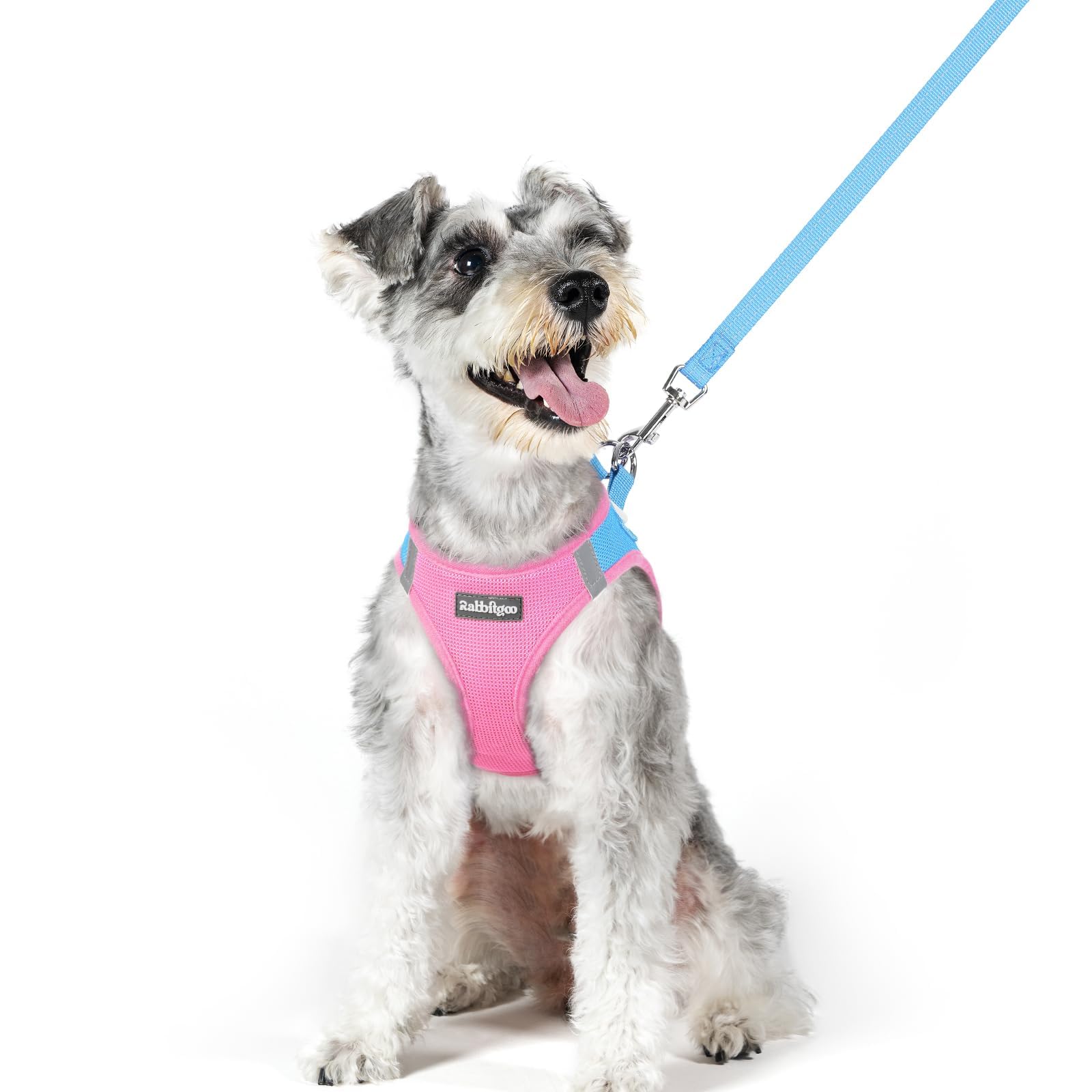 Soft Mesh Dog Harness and Leash Set Reflective Lightweight
