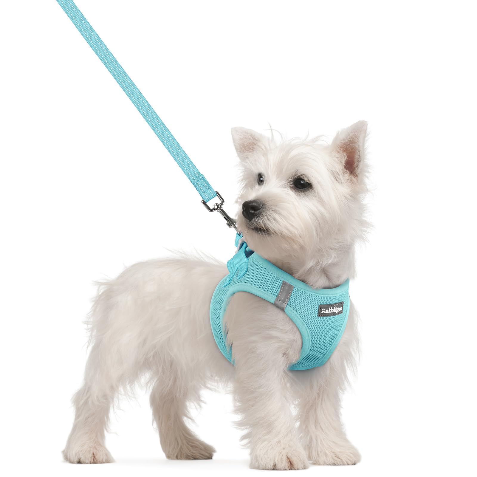 Soft Mesh Dog Harness and Leash Set Reflective Lightweight