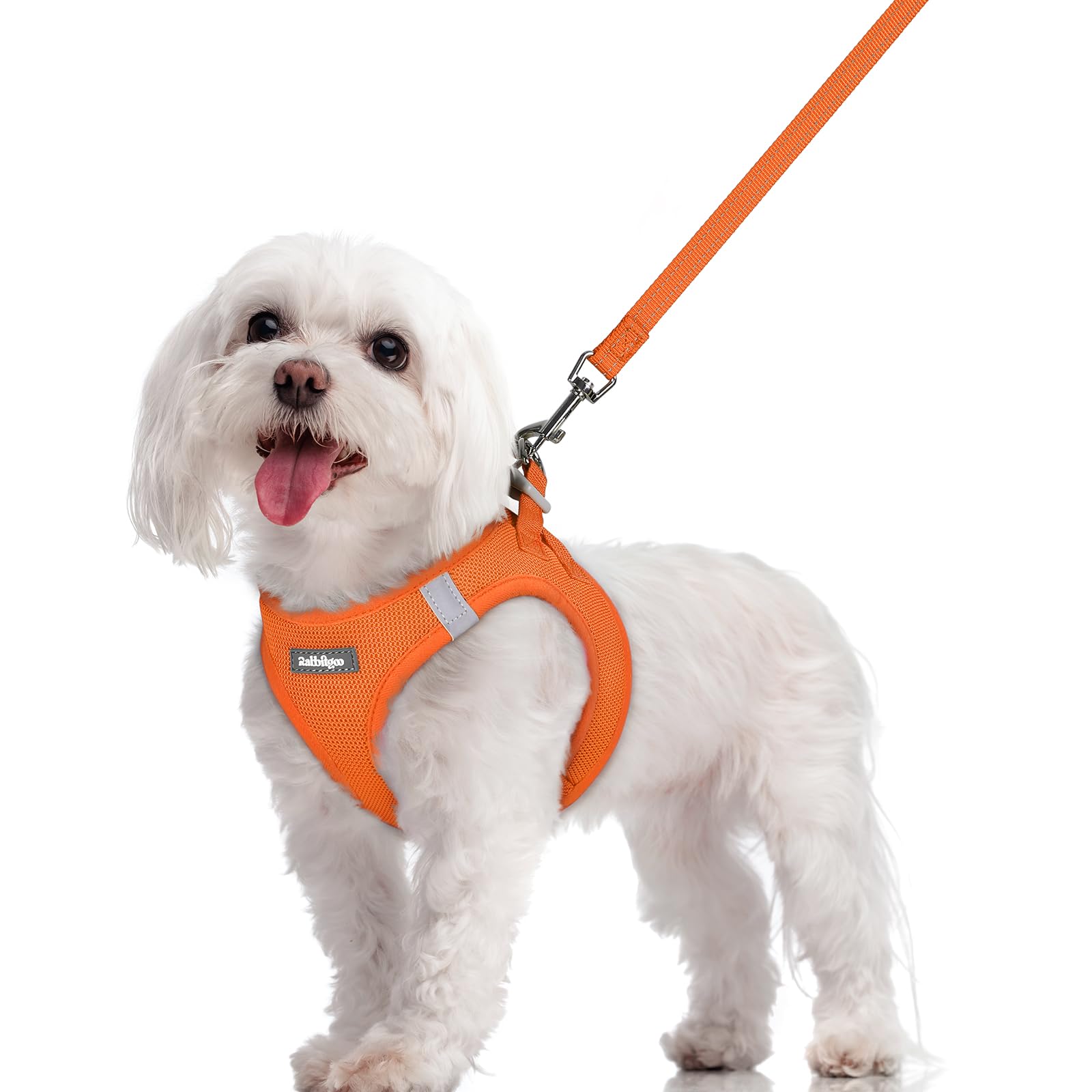 Soft Mesh Dog Harness and Leash Set Reflective Lightweight