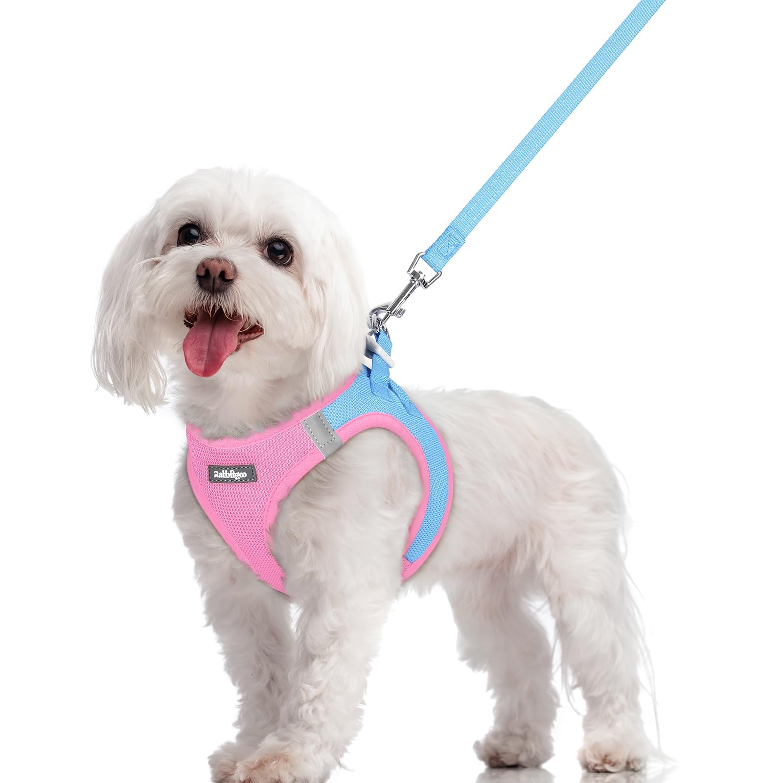 Soft Mesh Dog Harness and Leash Set Reflective Lightweight