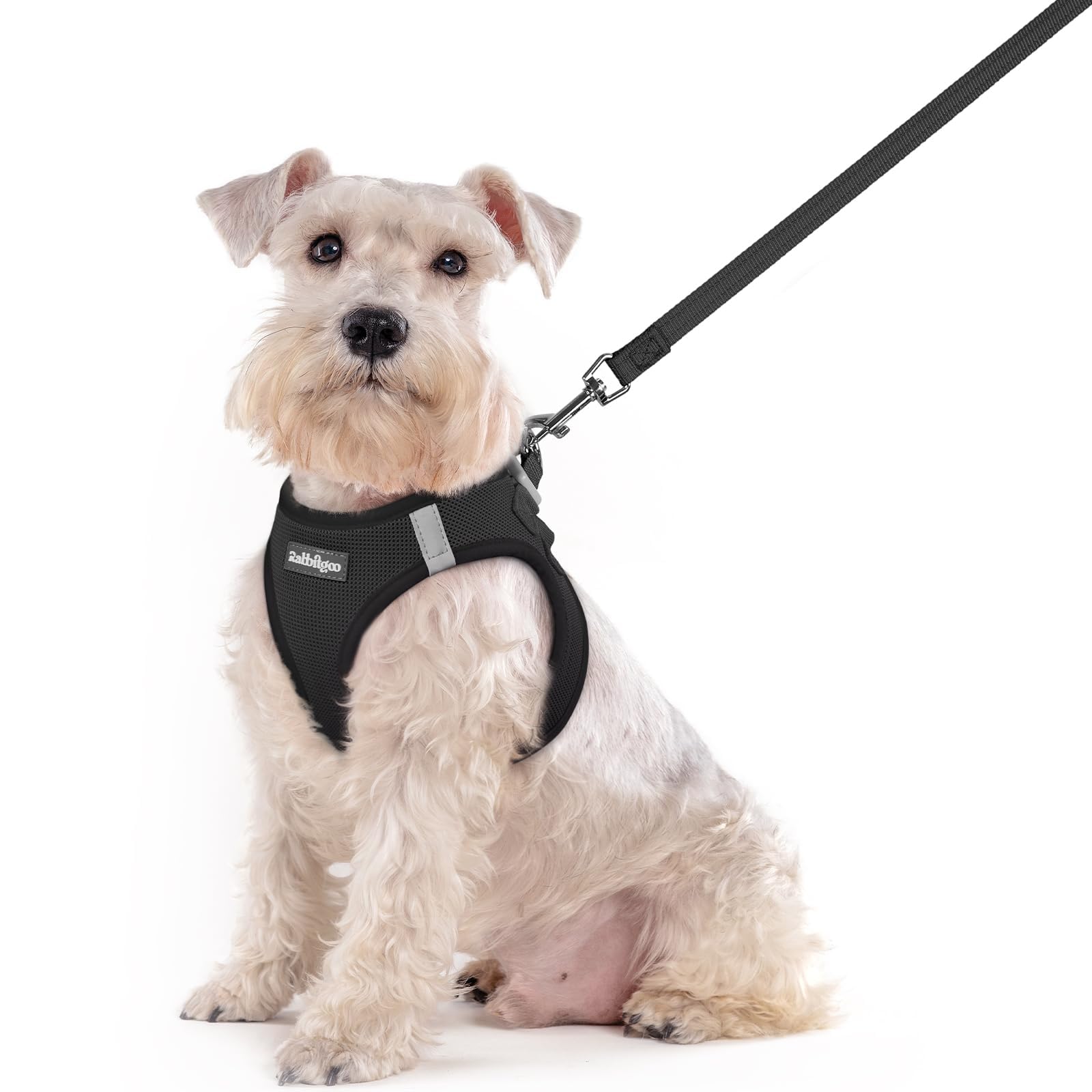 Soft Mesh Dog Harness and Leash Set Reflective Lightweight