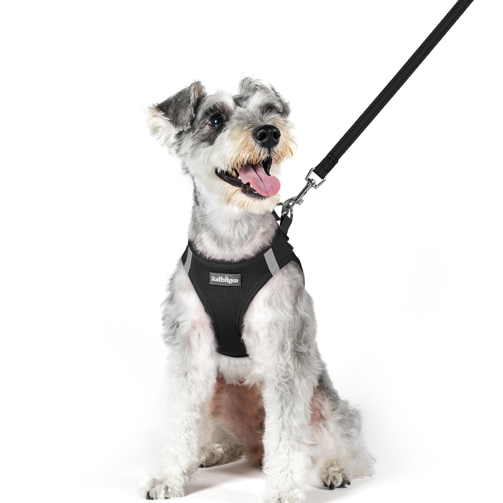 Soft Mesh Dog Harness and Leash Set Reflective Lightweight
