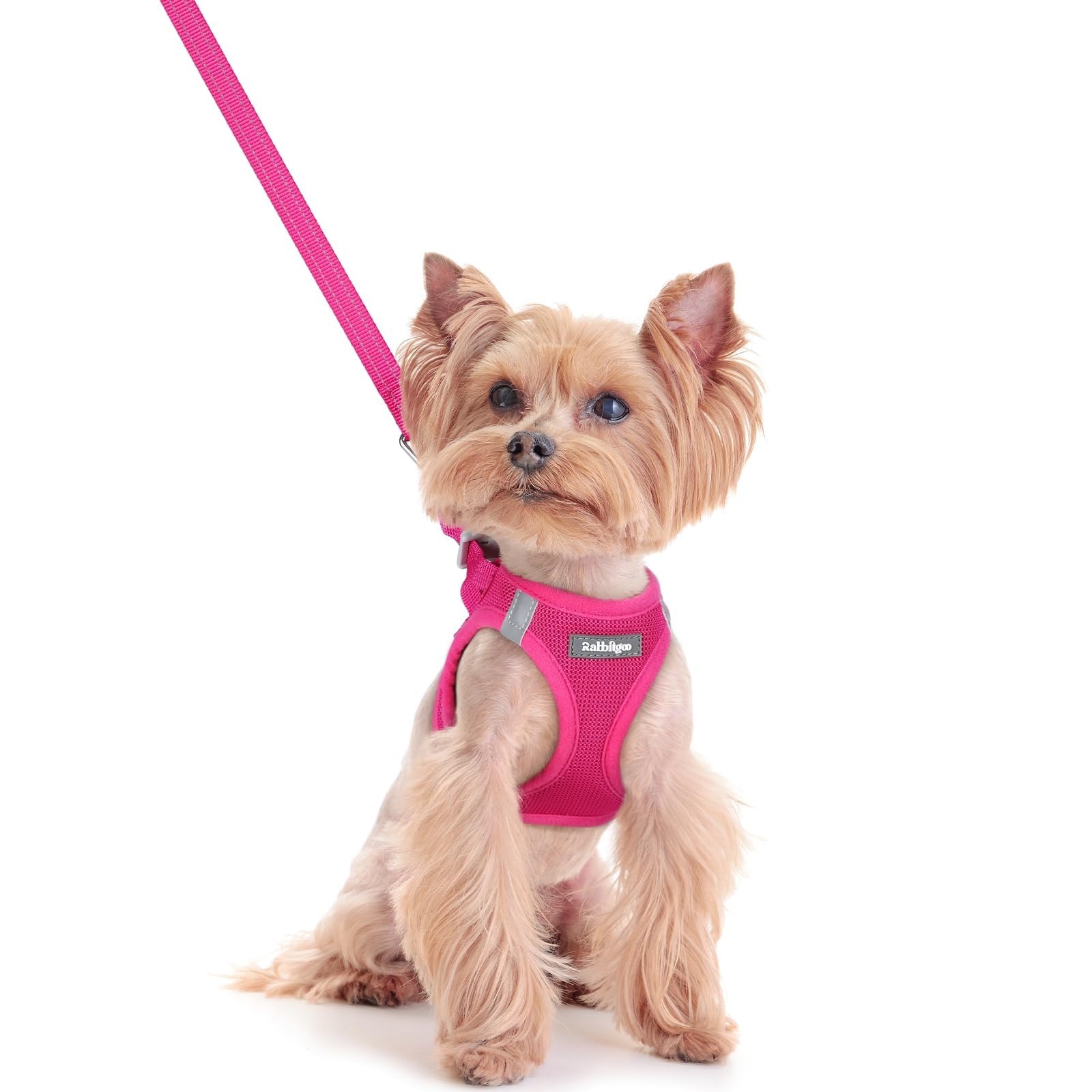 Soft Mesh Dog Harness and Leash Set Reflective Lightweight
