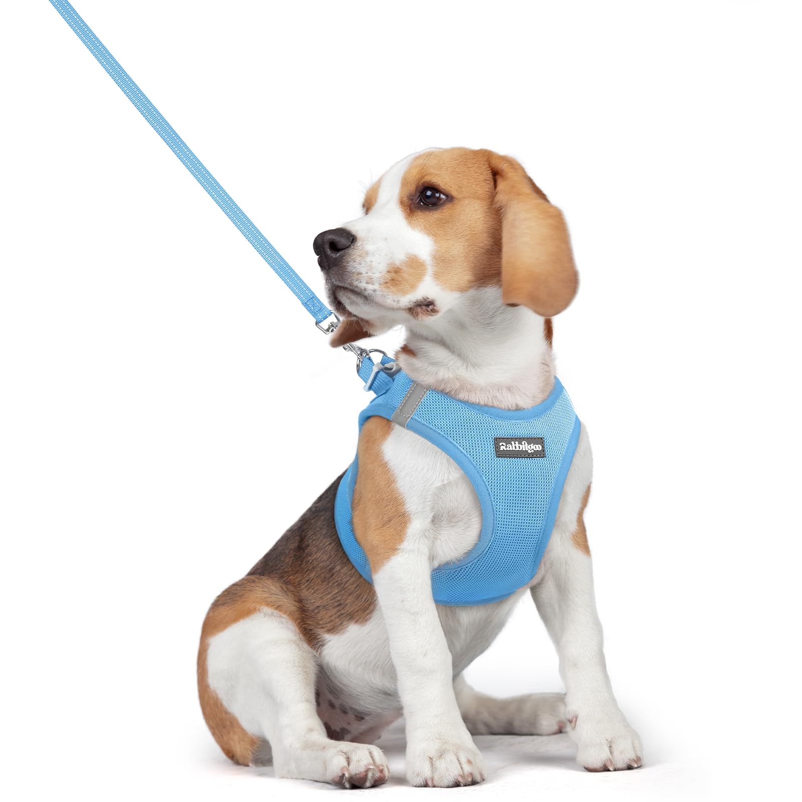 Soft Mesh Dog Harness and Leash Set Reflective Lightweight
