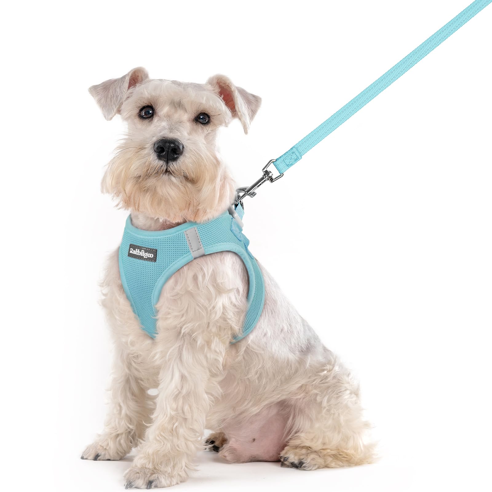 Soft Mesh Dog Harness and Leash Set Reflective Lightweight
