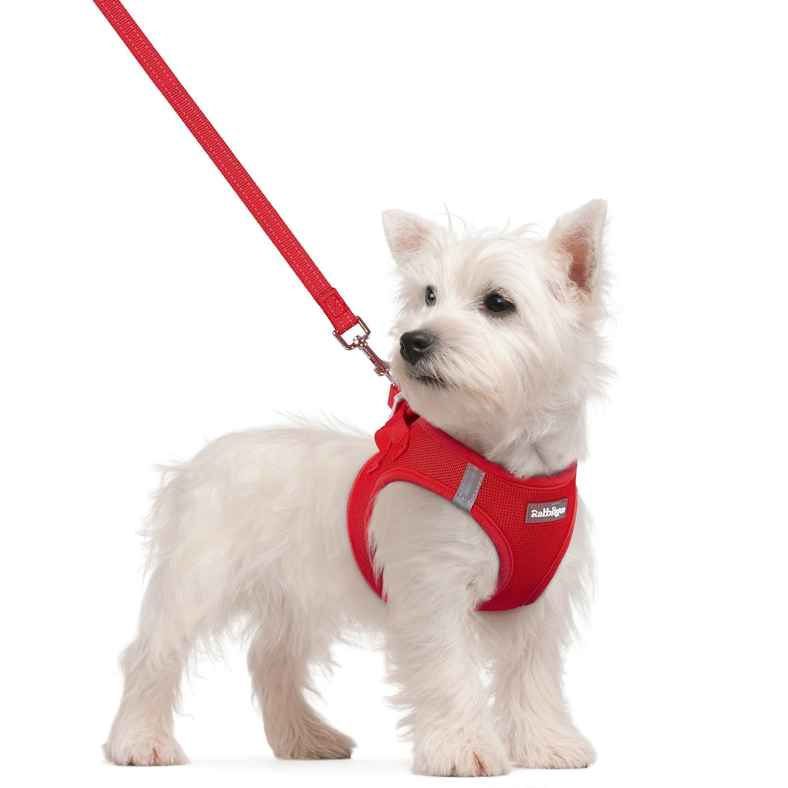 Soft Mesh Dog Harness and Leash Set Reflective Lightweight
