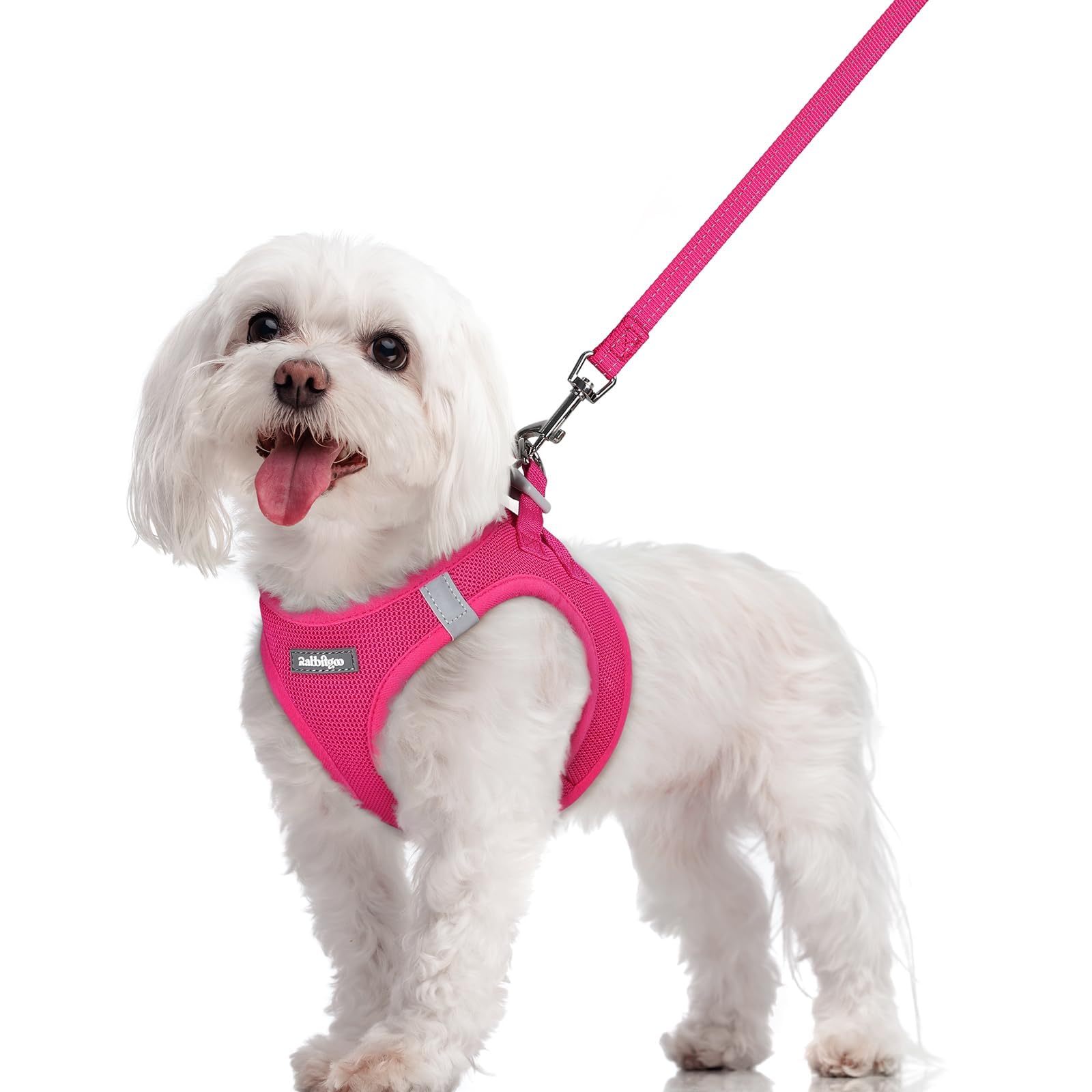 Soft Mesh Dog Harness and Leash Set Reflective Lightweight