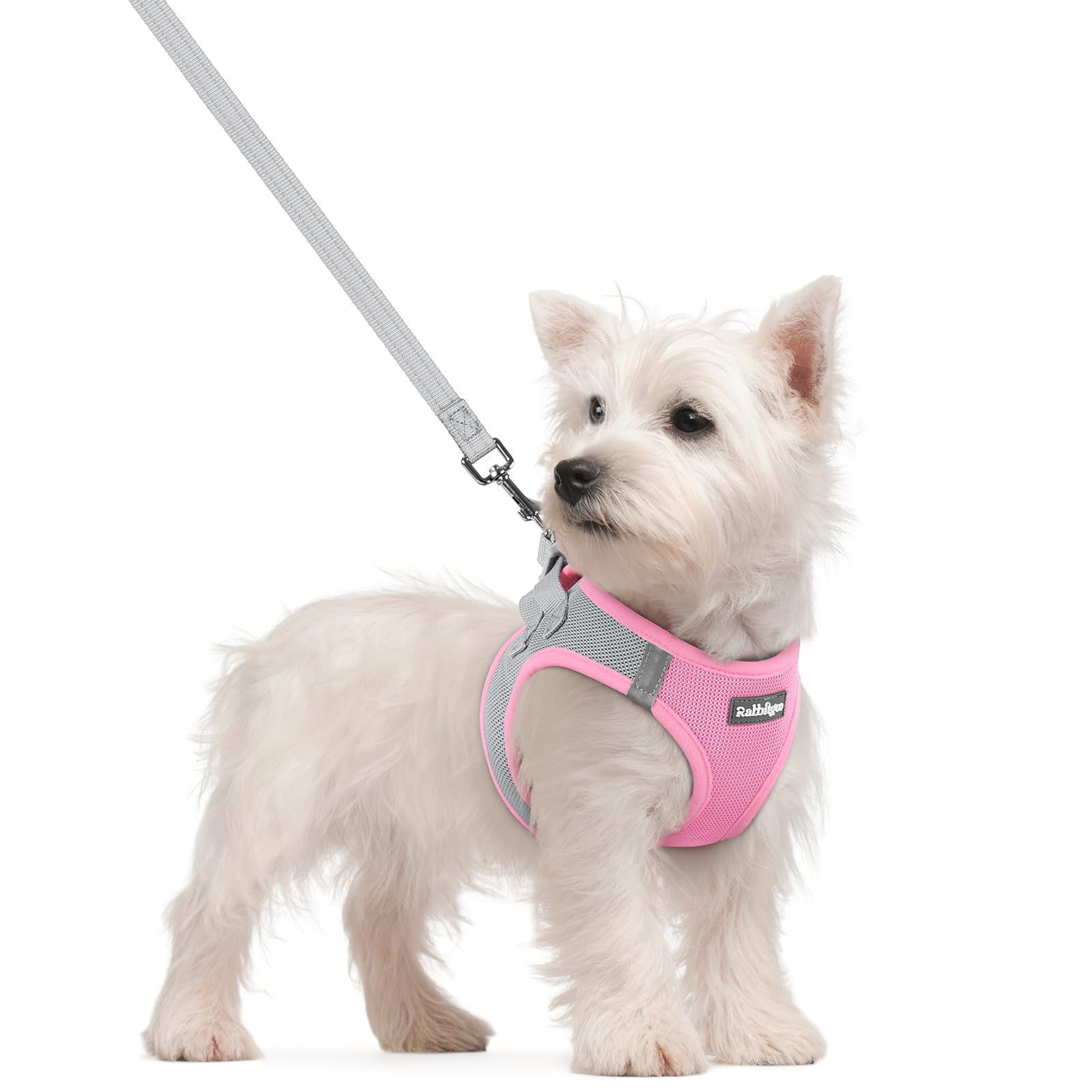 Soft Mesh Dog Harness and Leash Set Reflective Lightweight