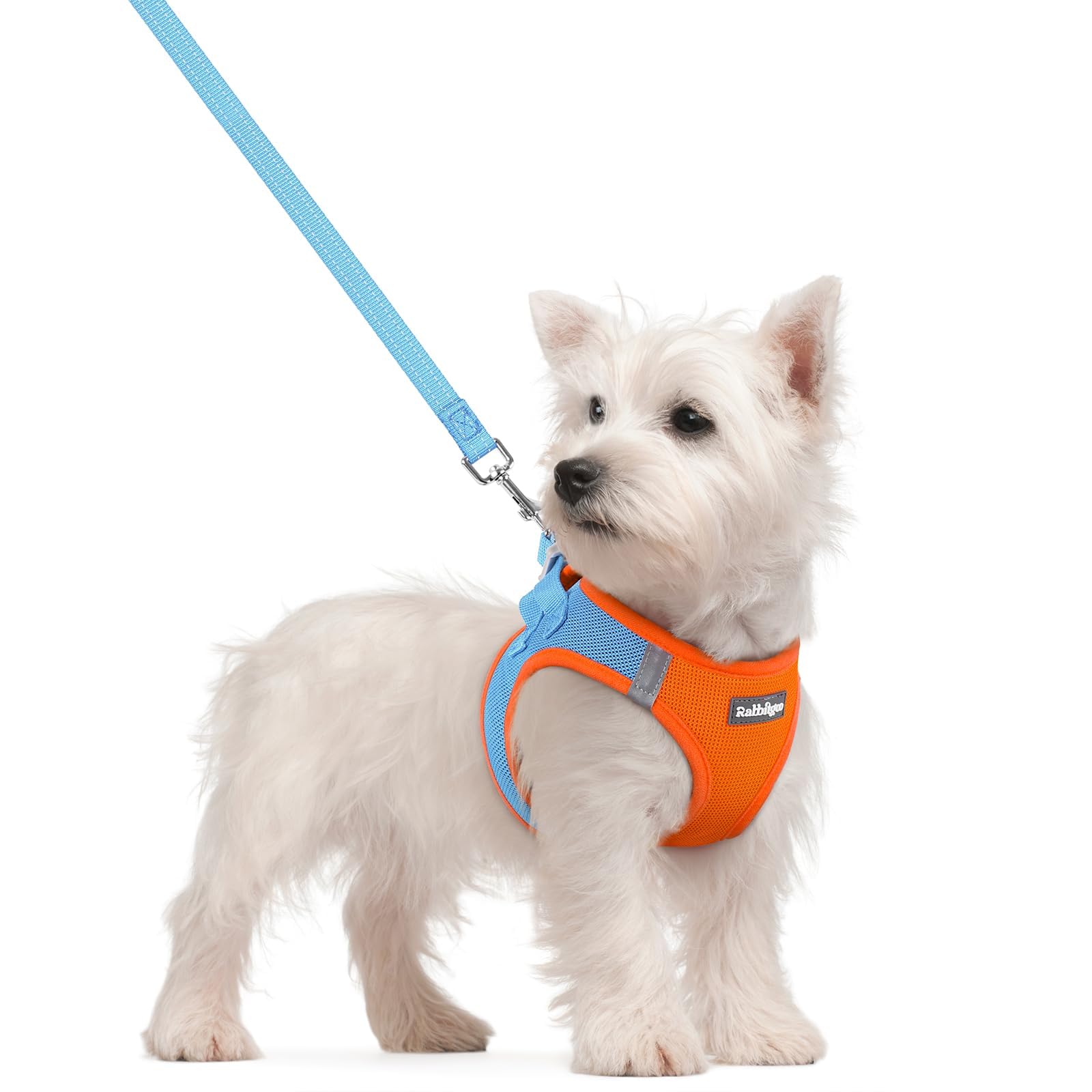 Soft Mesh Dog Harness and Leash Set Reflective Lightweight