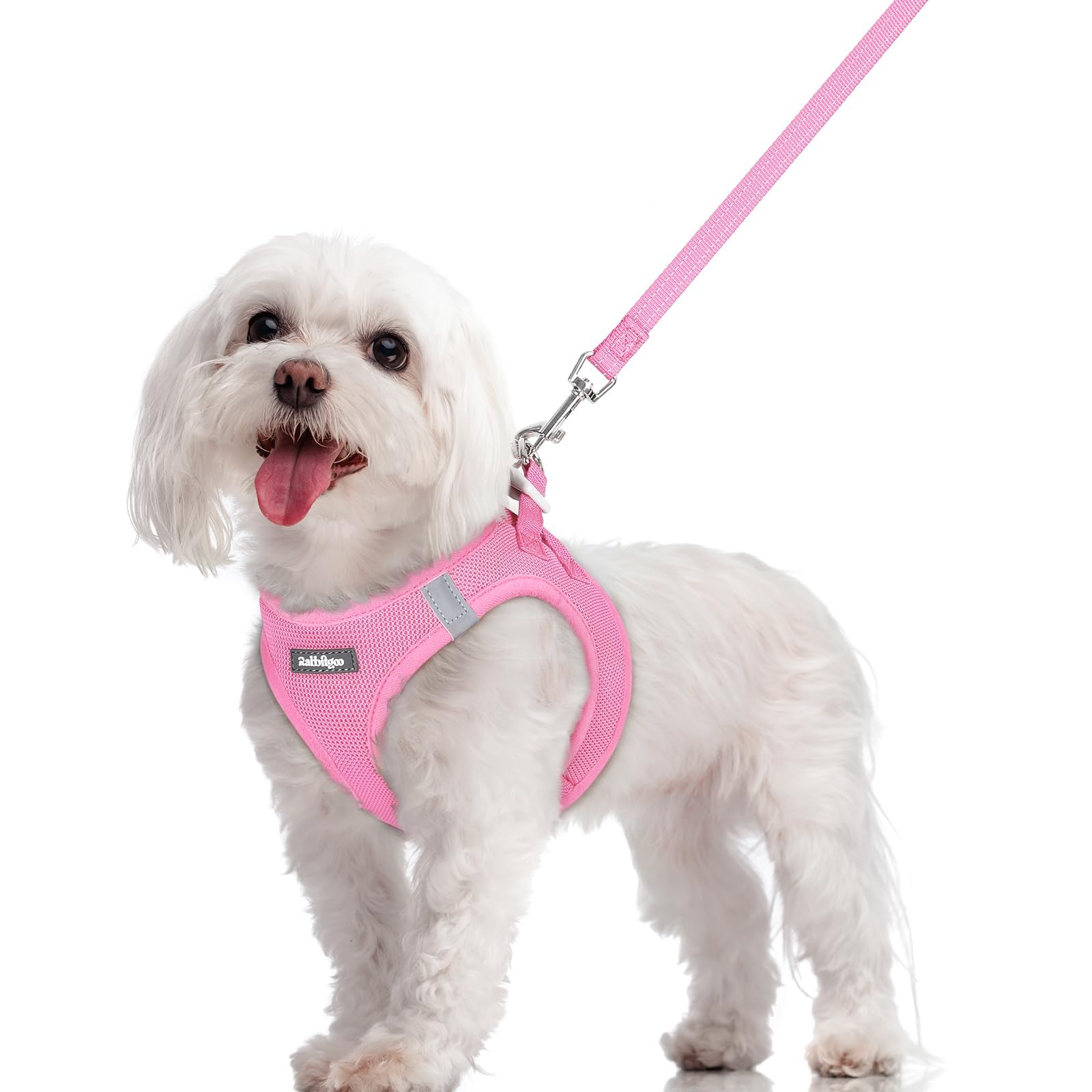 Soft Mesh Dog Harness and Leash Set Reflective Lightweight