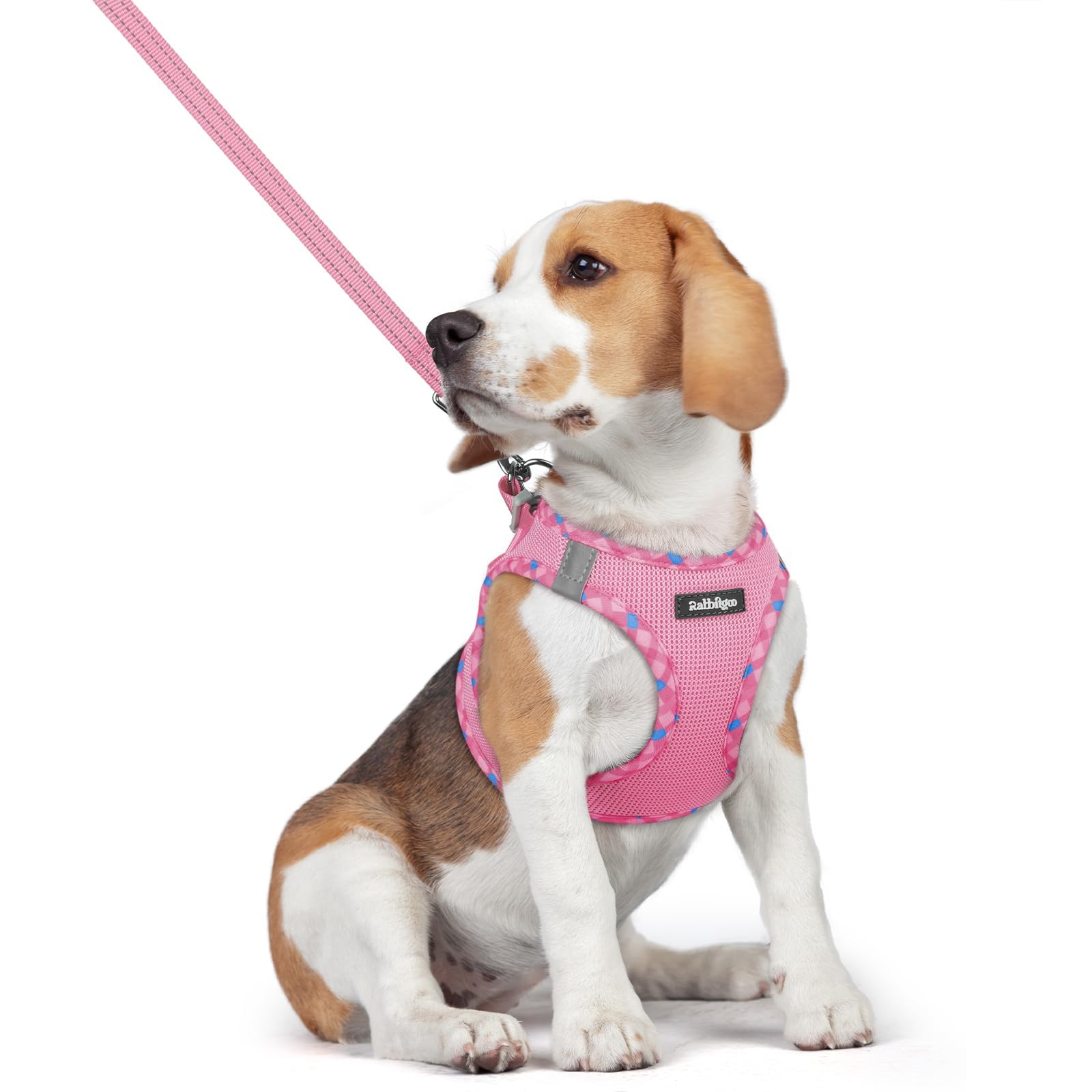 Soft Mesh Dog Harness and Leash Set Reflective Lightweight