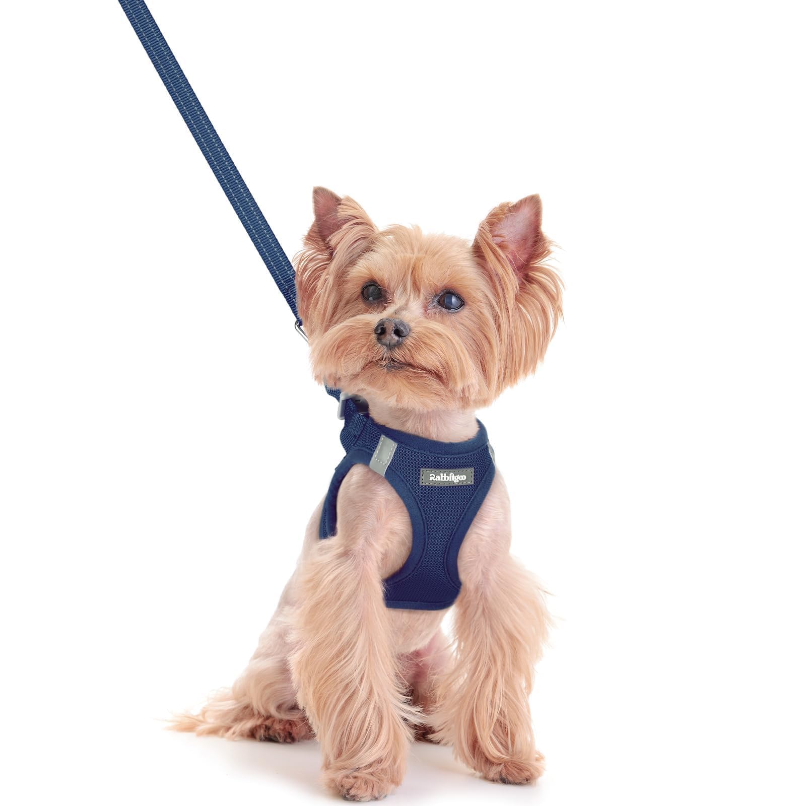 Soft Mesh Dog Harness and Leash Set Reflective Lightweight