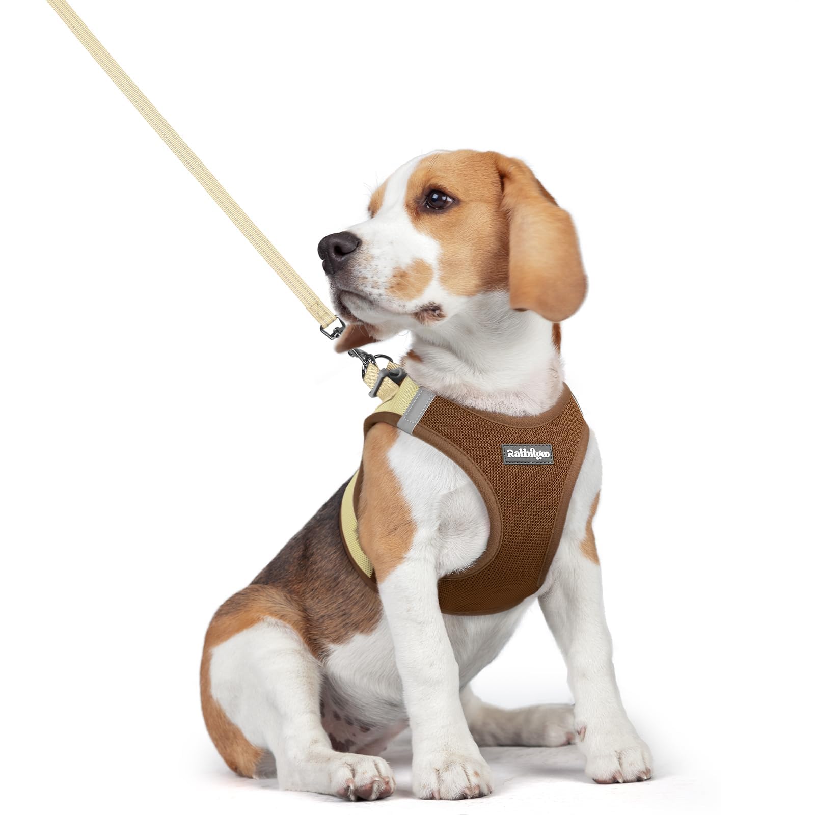 Soft Mesh Dog Harness and Leash Set Reflective Lightweight