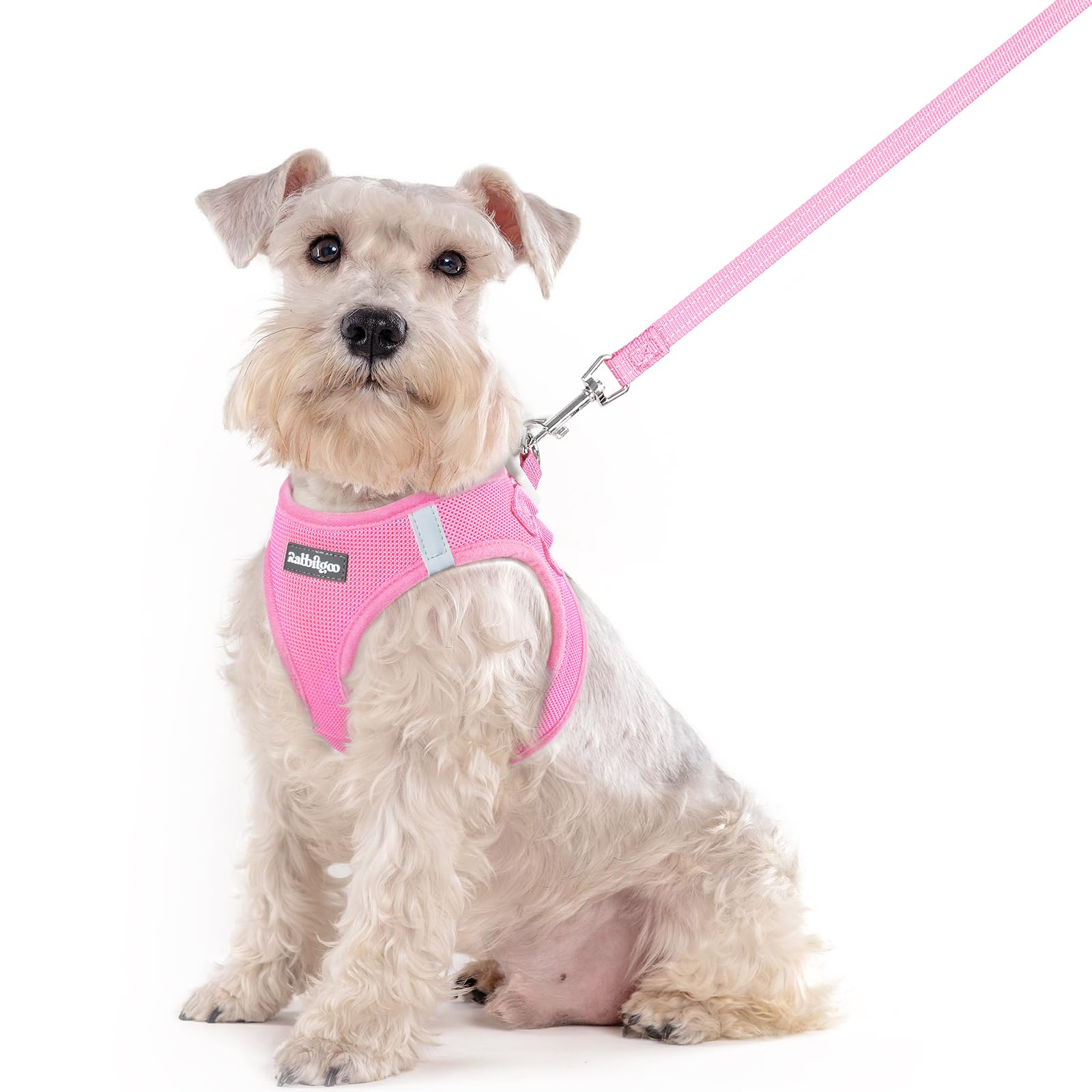 Soft Mesh Dog Harness and Leash Set Reflective Lightweight