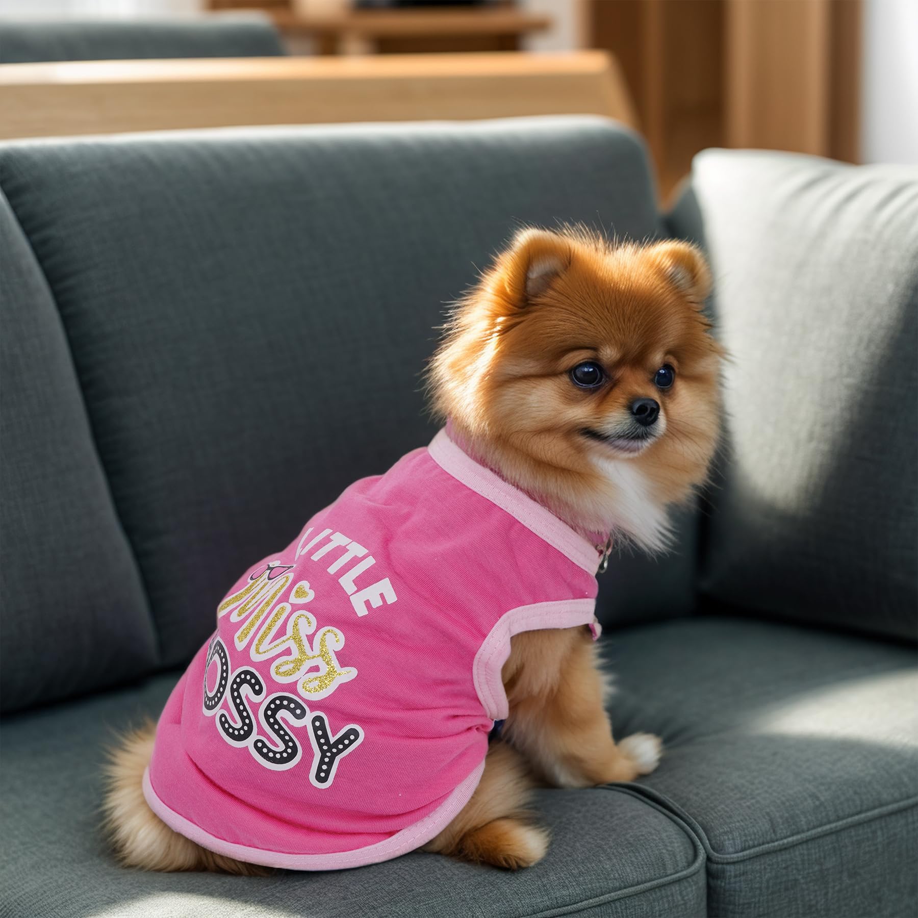 Dog T Shirts Summer Sleeveless Printed Pet Clothes