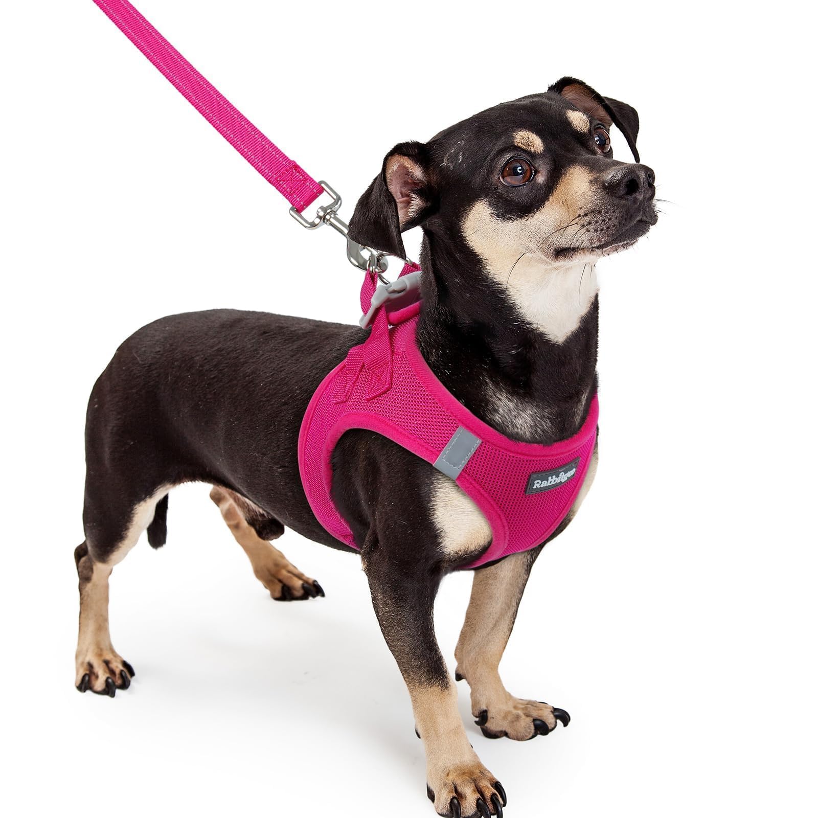 Soft Mesh Dog Harness and Leash Set Reflective Lightweight