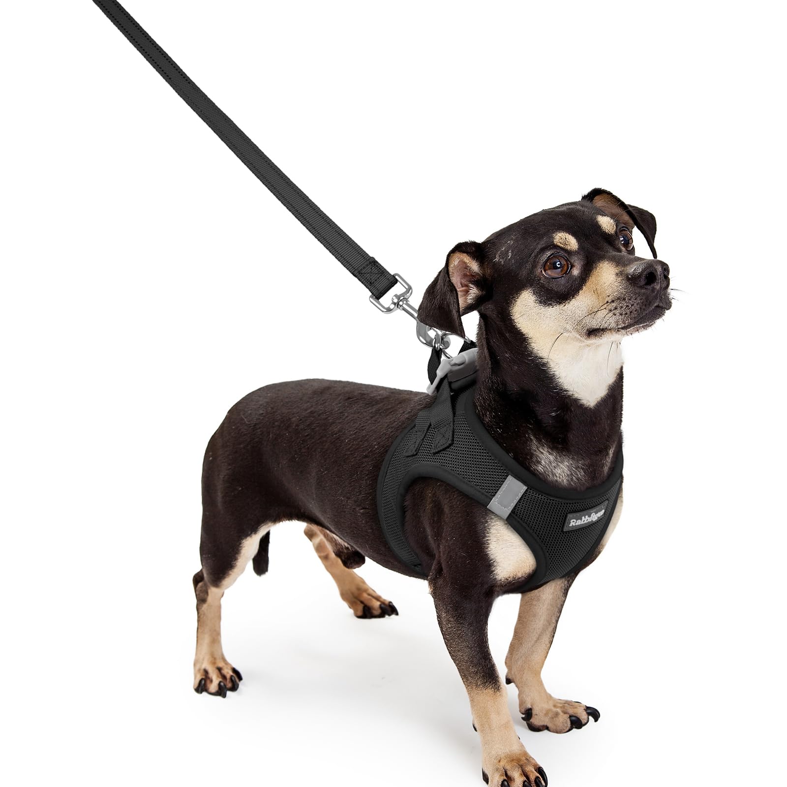 Soft Mesh Dog Harness and Leash Set Reflective Lightweight