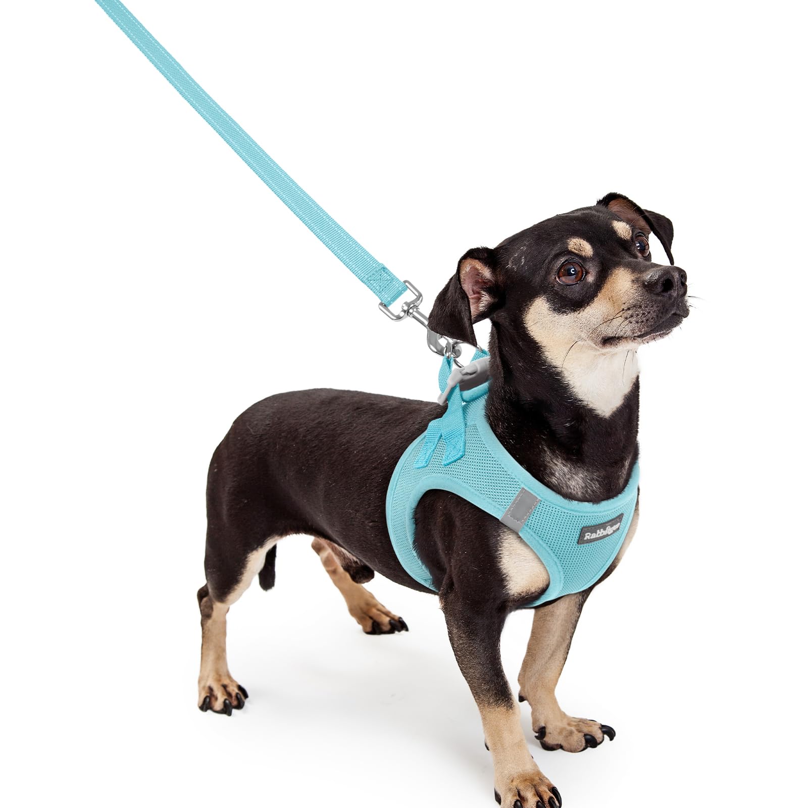 Soft Mesh Dog Harness and Leash Set Reflective Lightweight